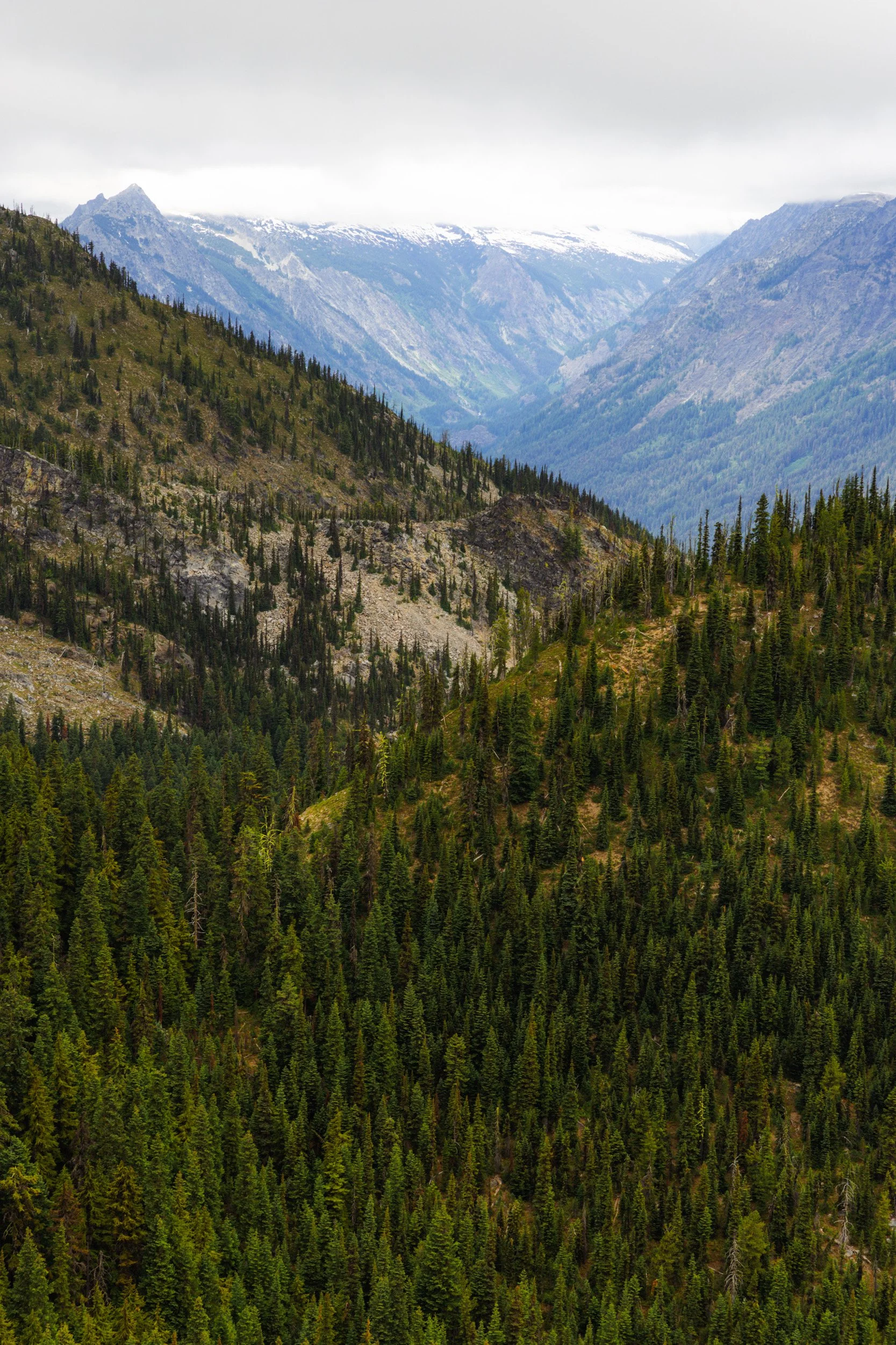2026-06-27-142640_AK5A3660.jpg