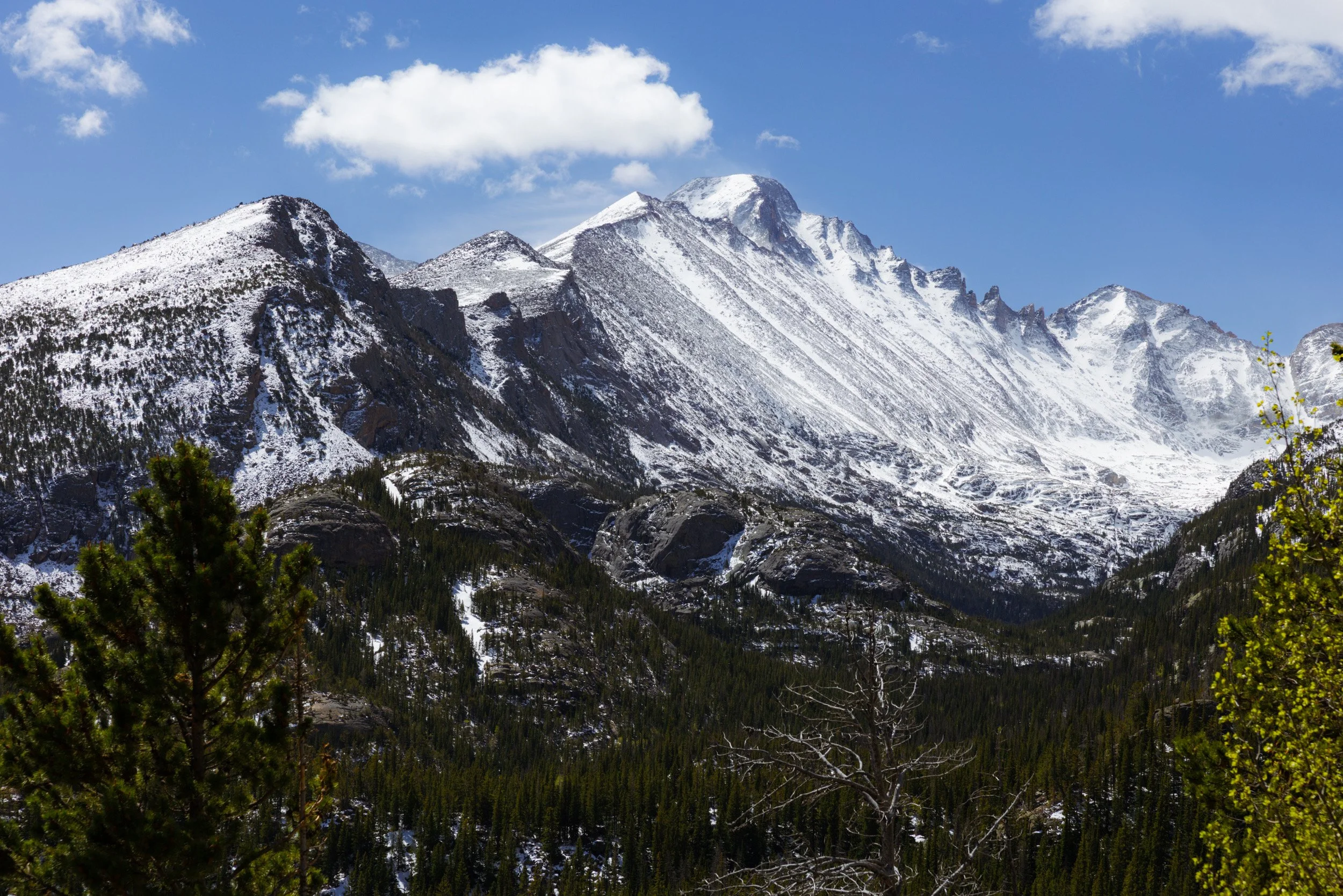 2026-05-23-094410_AK5A2585.jpg