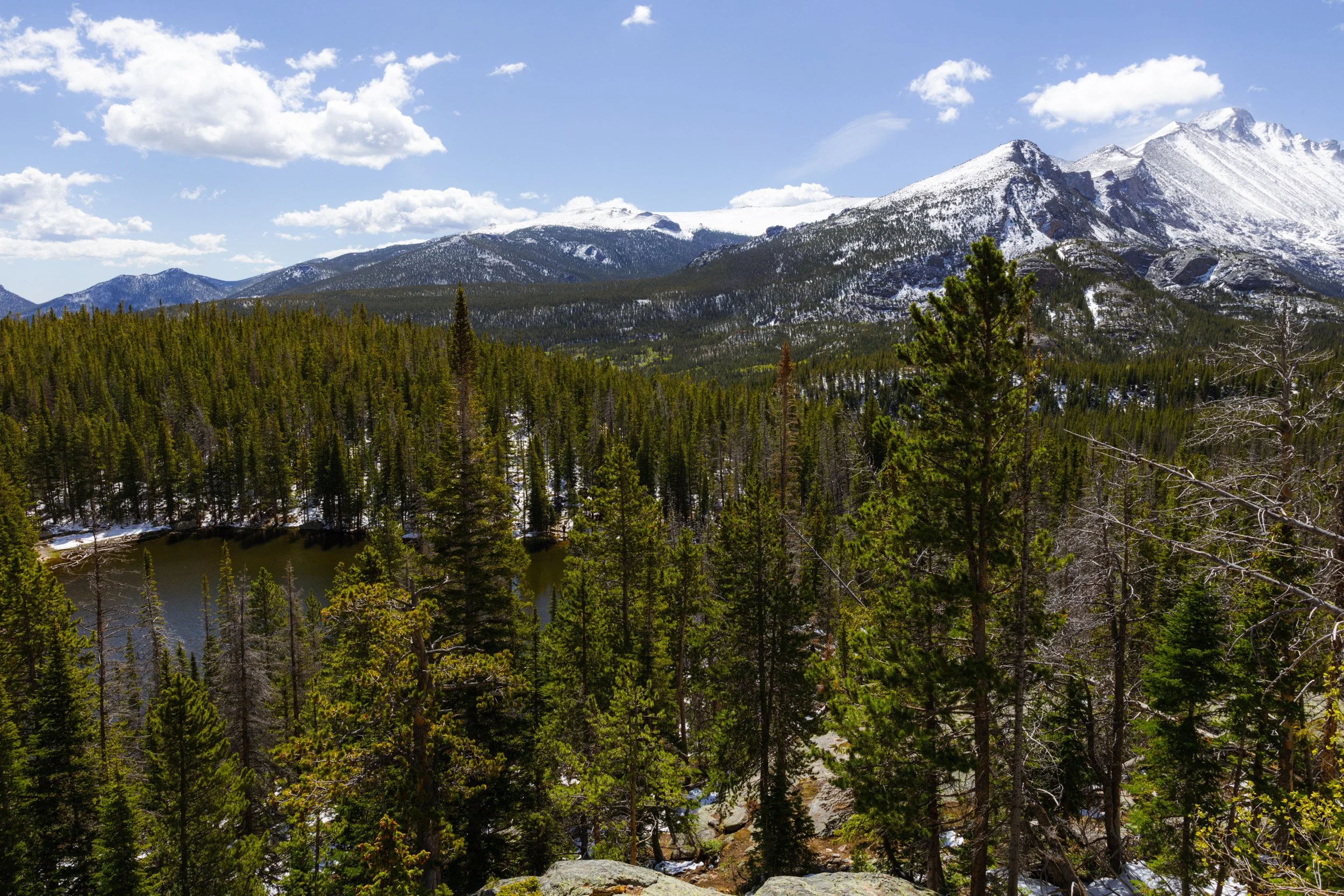 2026-05-23-094405_AK5A2584.jpg