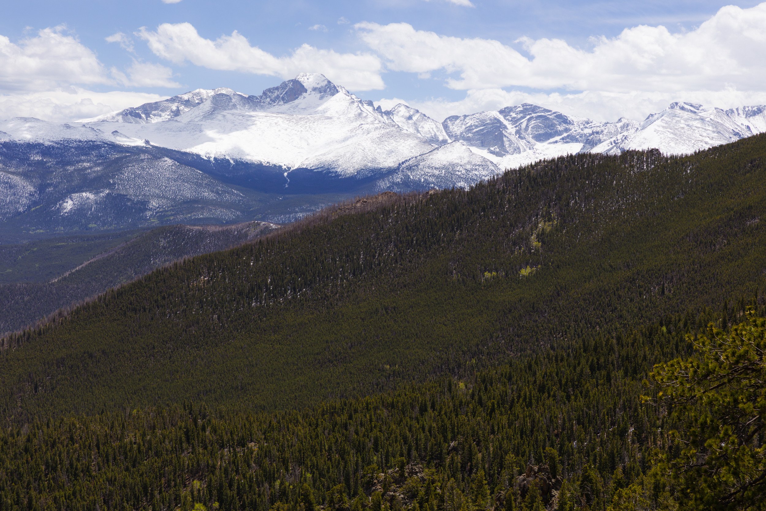 2026-05-23-122921_AK5A2707.jpg
