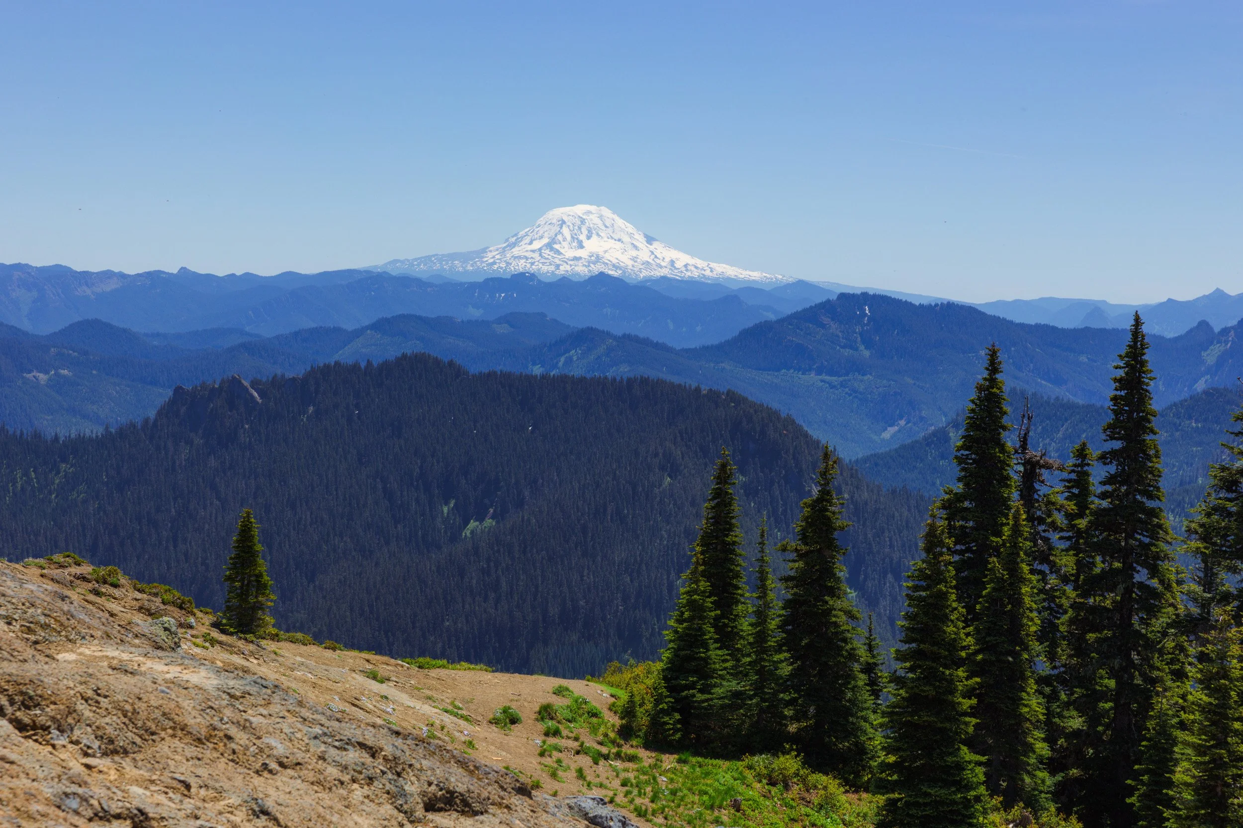2026-06-14-131429_AK5A3480.jpg