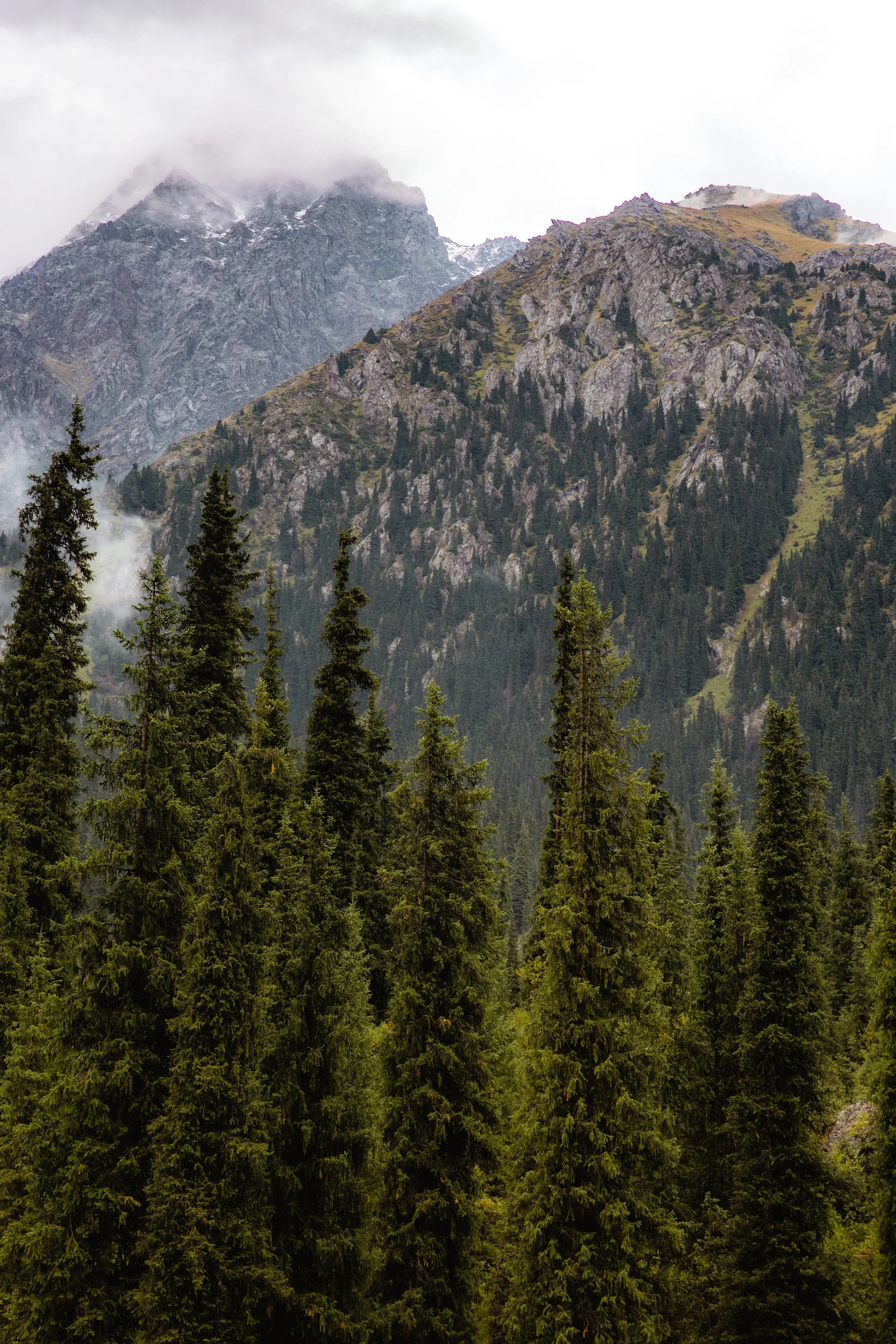 2026-08-25-105642_AK5A5439.jpg