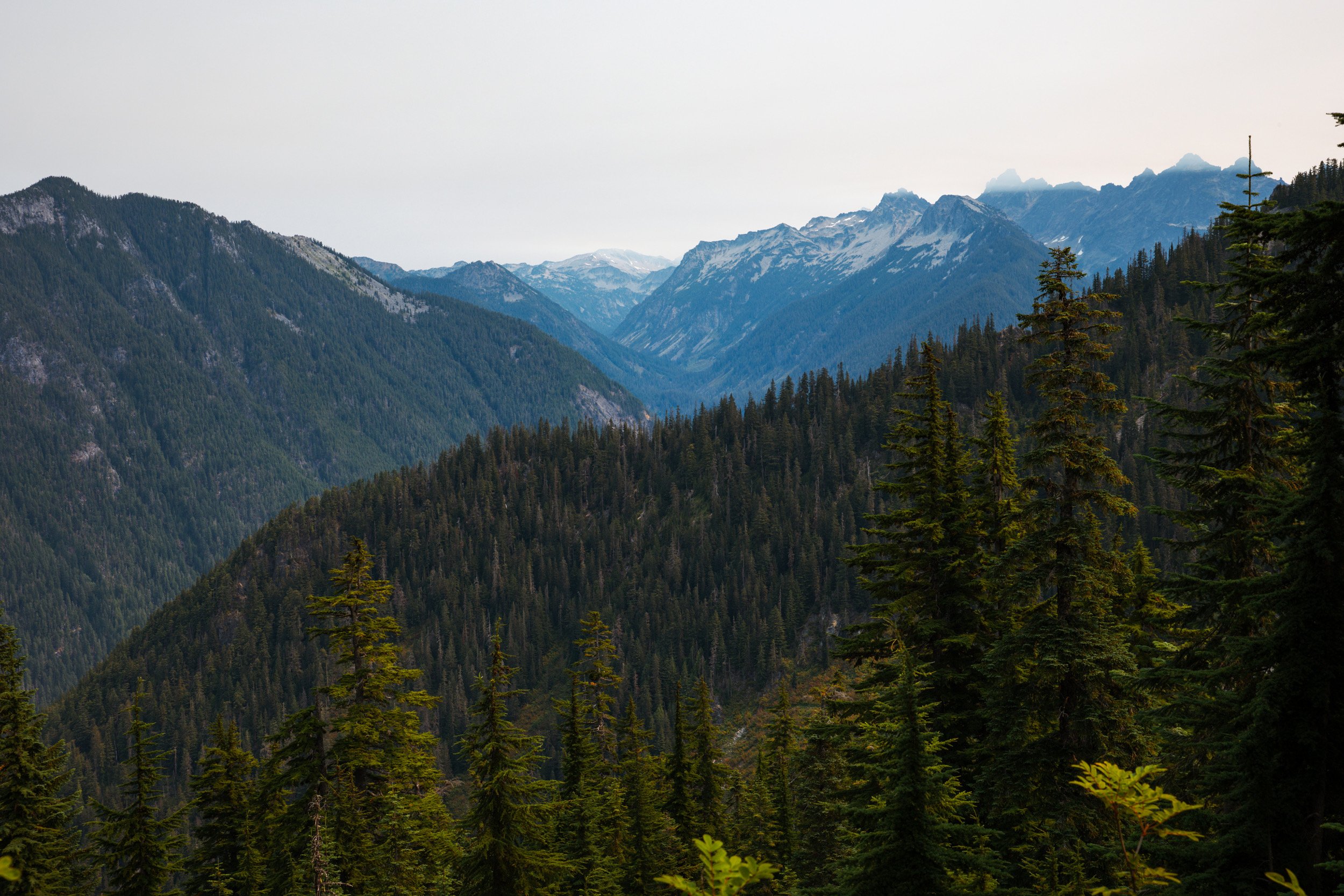2026-08-09-115754_AK5A4471.jpg