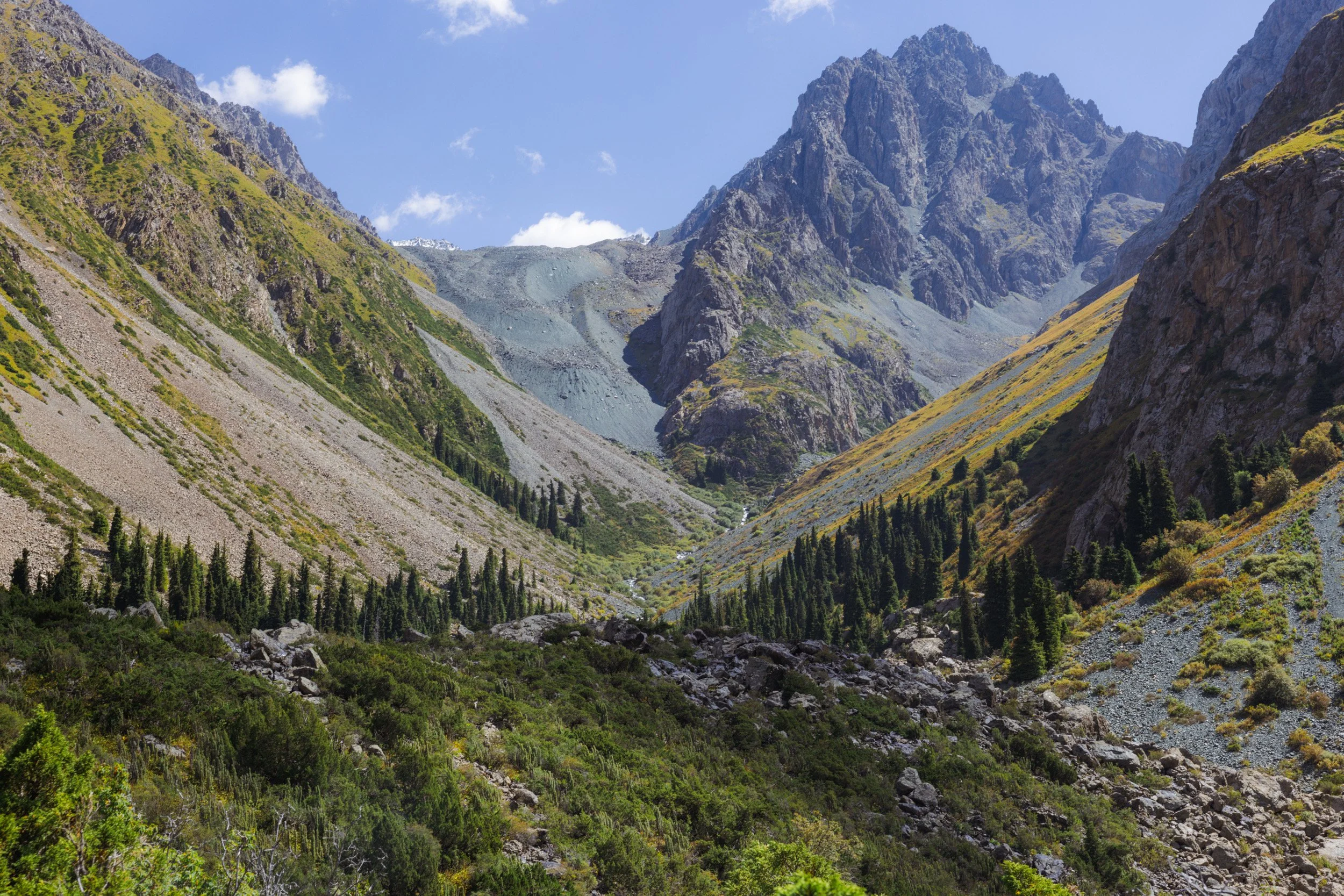 2026-08-26-111740_AK5A5886.jpg