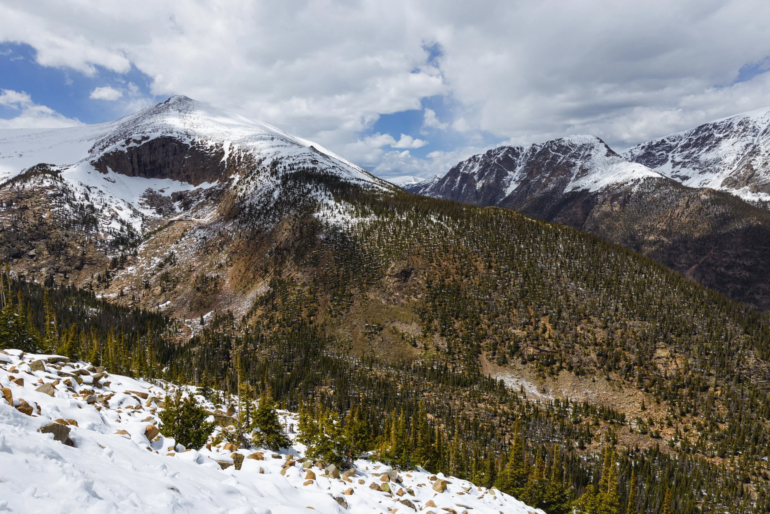 2026-05-23-130048_AK5A2736.jpg