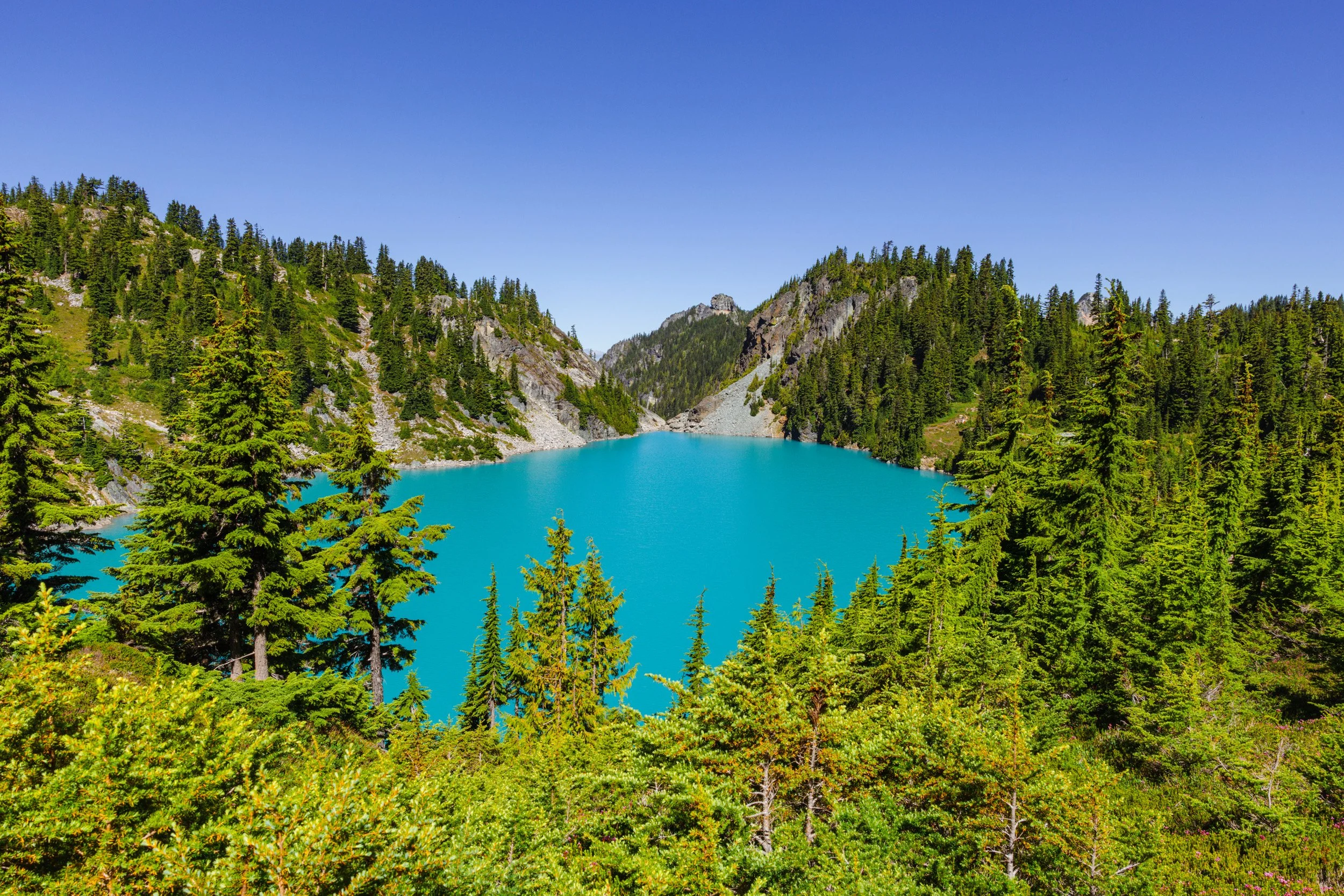 2026-07-19-104010_AK5A4276.jpg