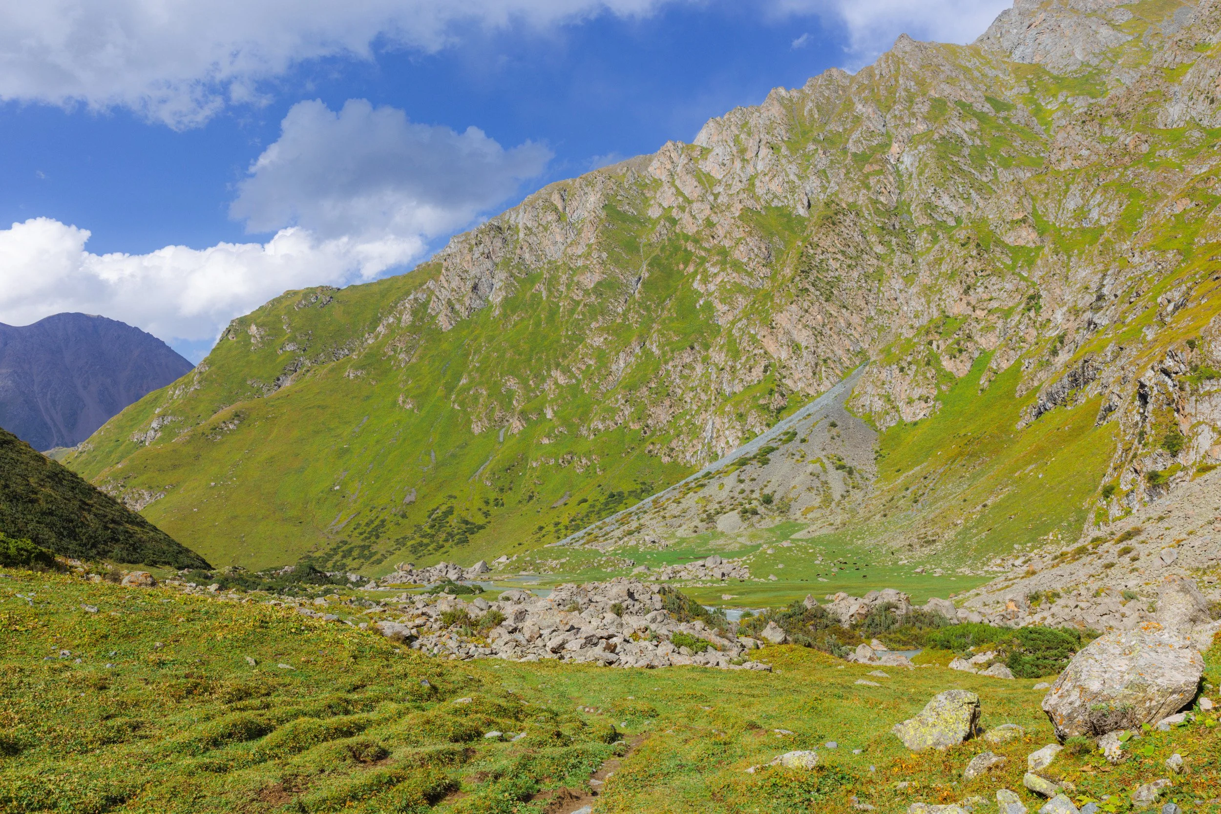 2026-08-25-163302_AK5A5814.jpg