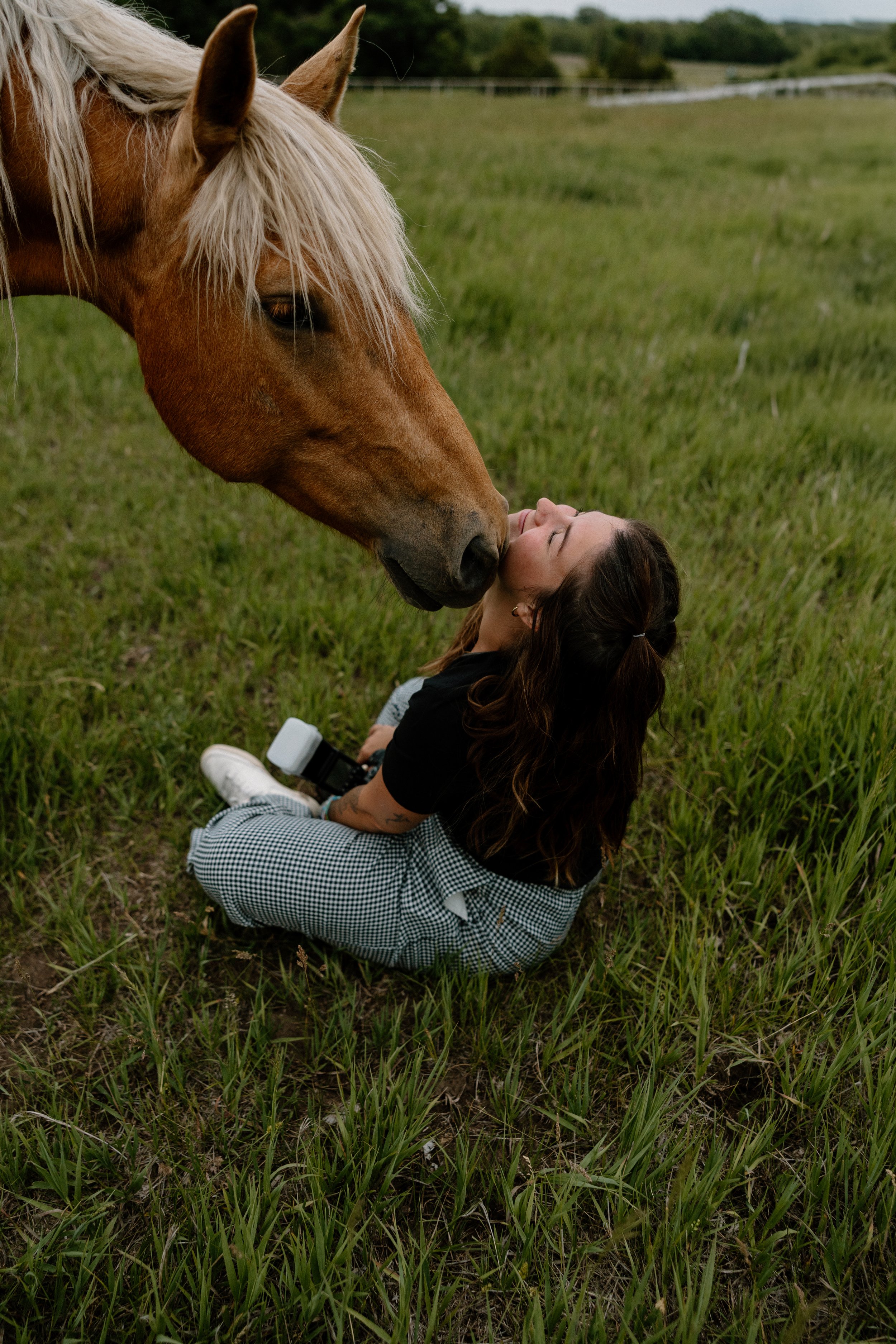 Horse Wedding Photographer