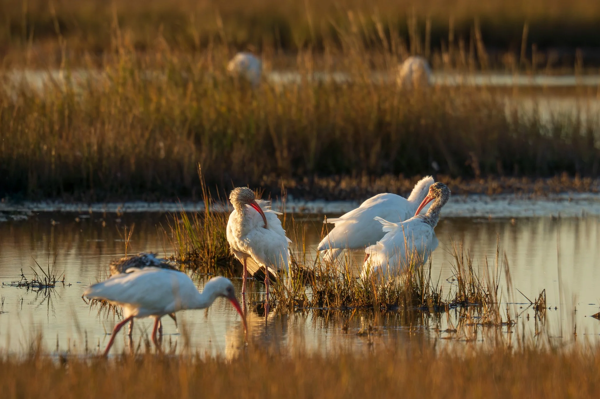 JMC06538-Edit.jpg