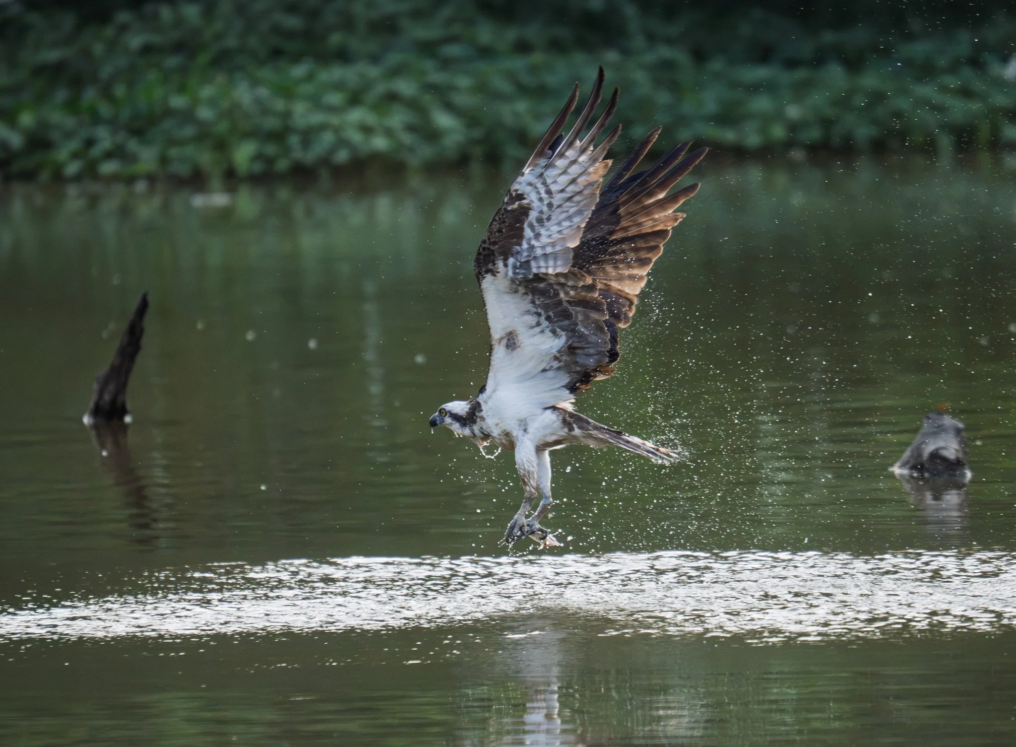 JMC09514-Edit.jpg
