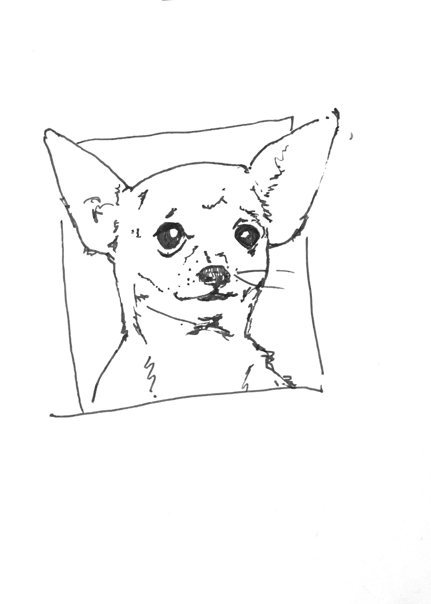 Tiny+Dog.jpg