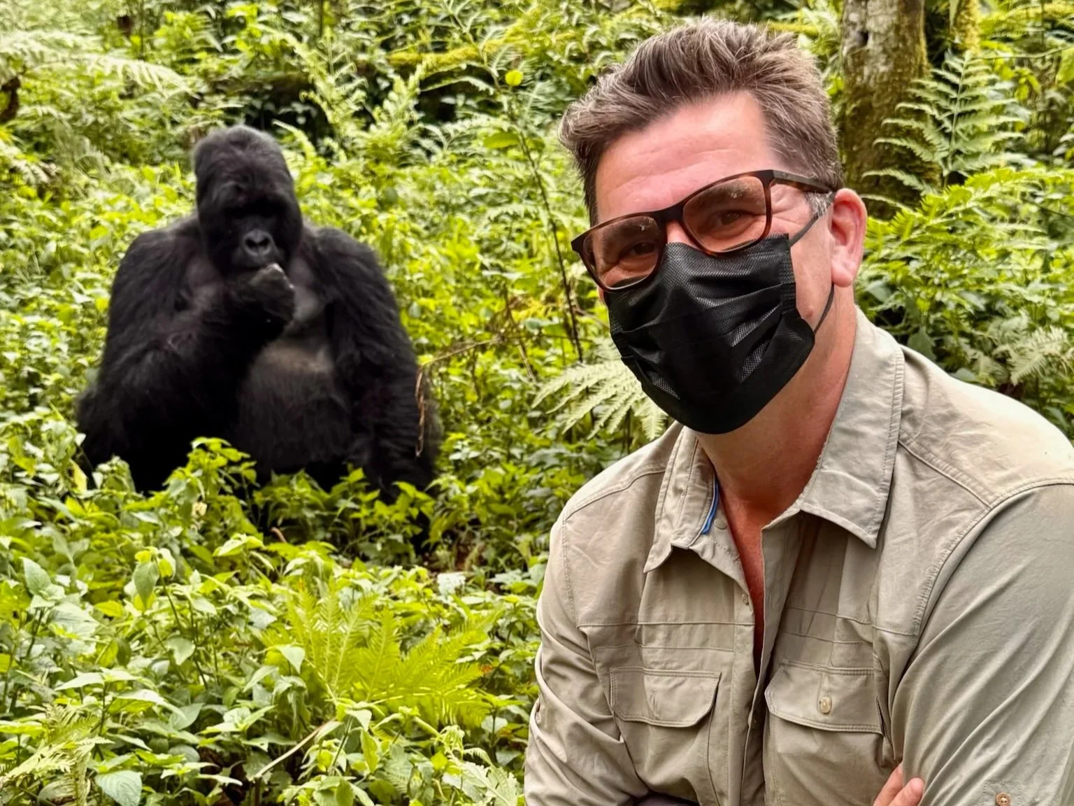 Face to Face with Giants: Trekking Gorillas in Rwanda