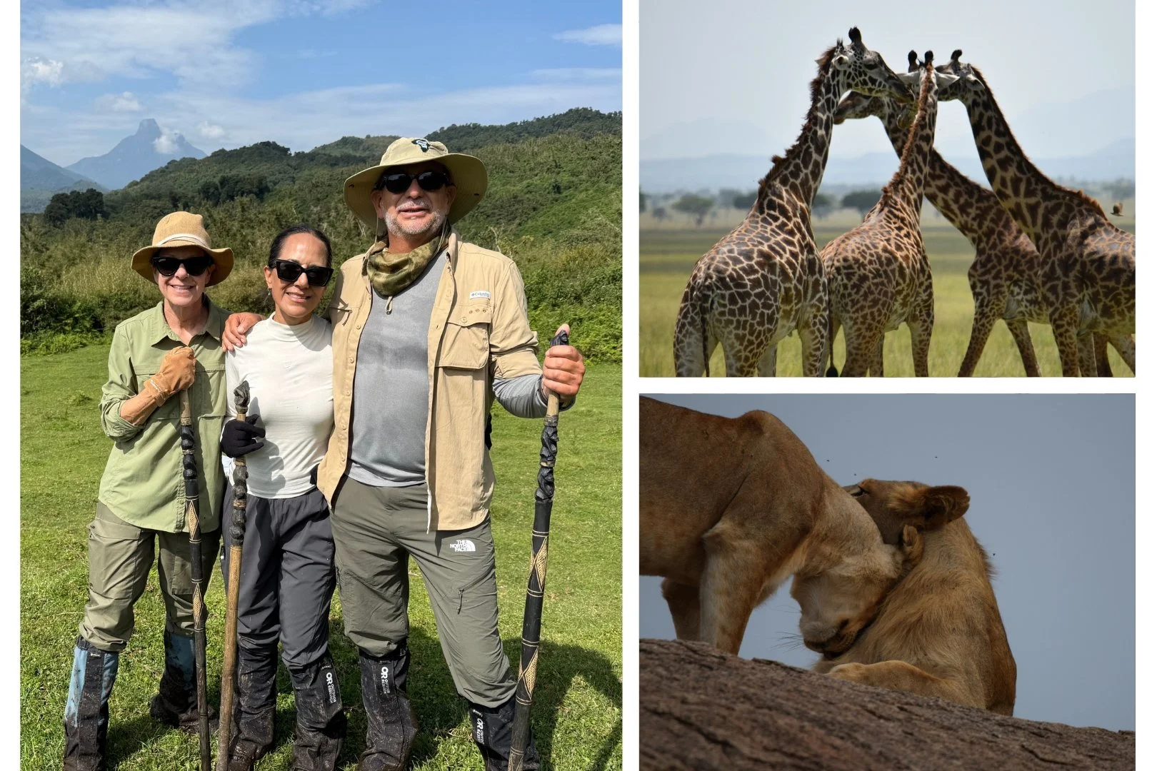 Called to Africa: Francisco's Journey Across Zanzibar, the Serengeti, and Rwanda