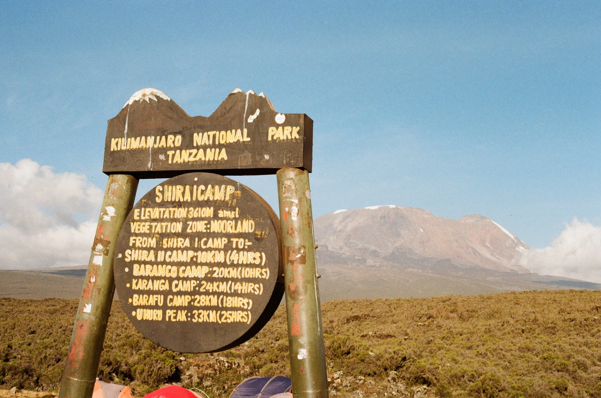 Before the Summit: My Journey Up Mount Kilimanjaro