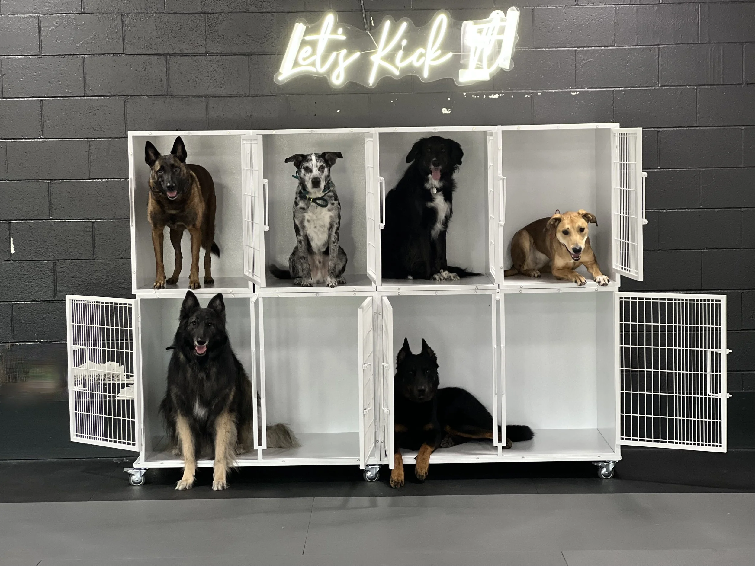 The Crate Is Great: A Guide to Kennel Training Your Dog
