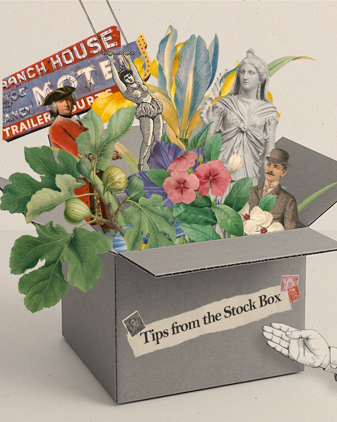 Tips from the Stock Box