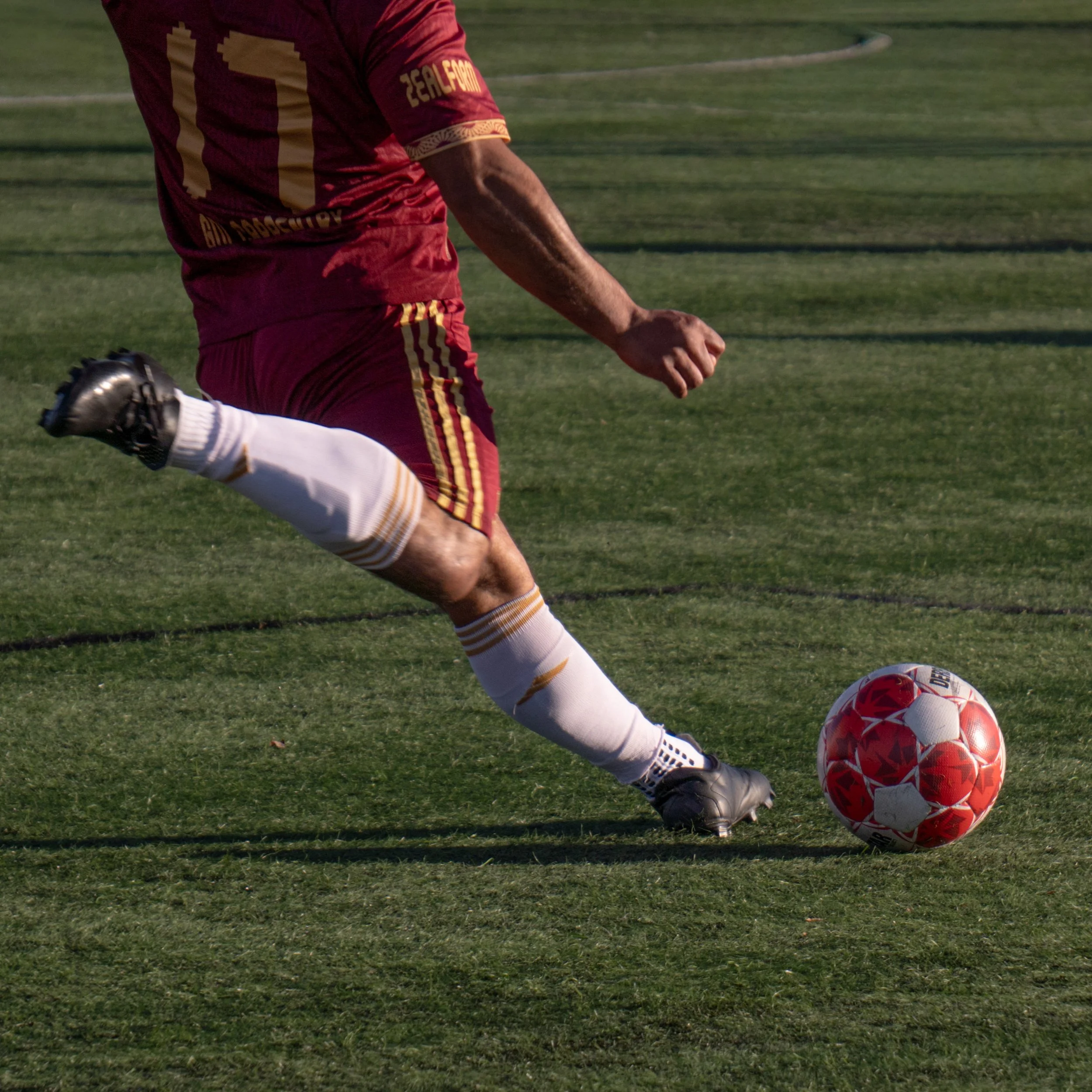 Harps_Tapatios_28_2_26_-4.jpg