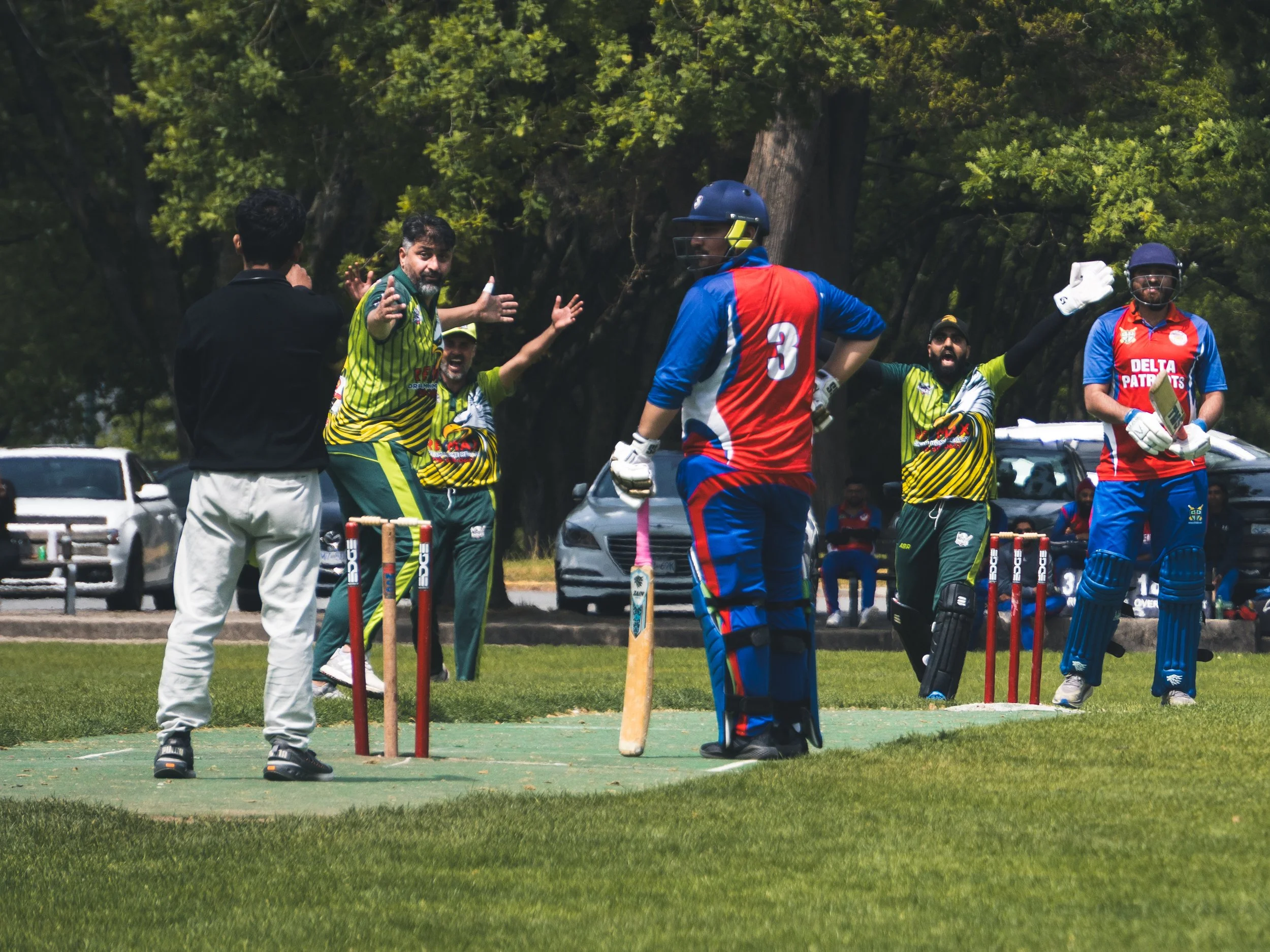 South_Memorial_Cricket_1.jpg