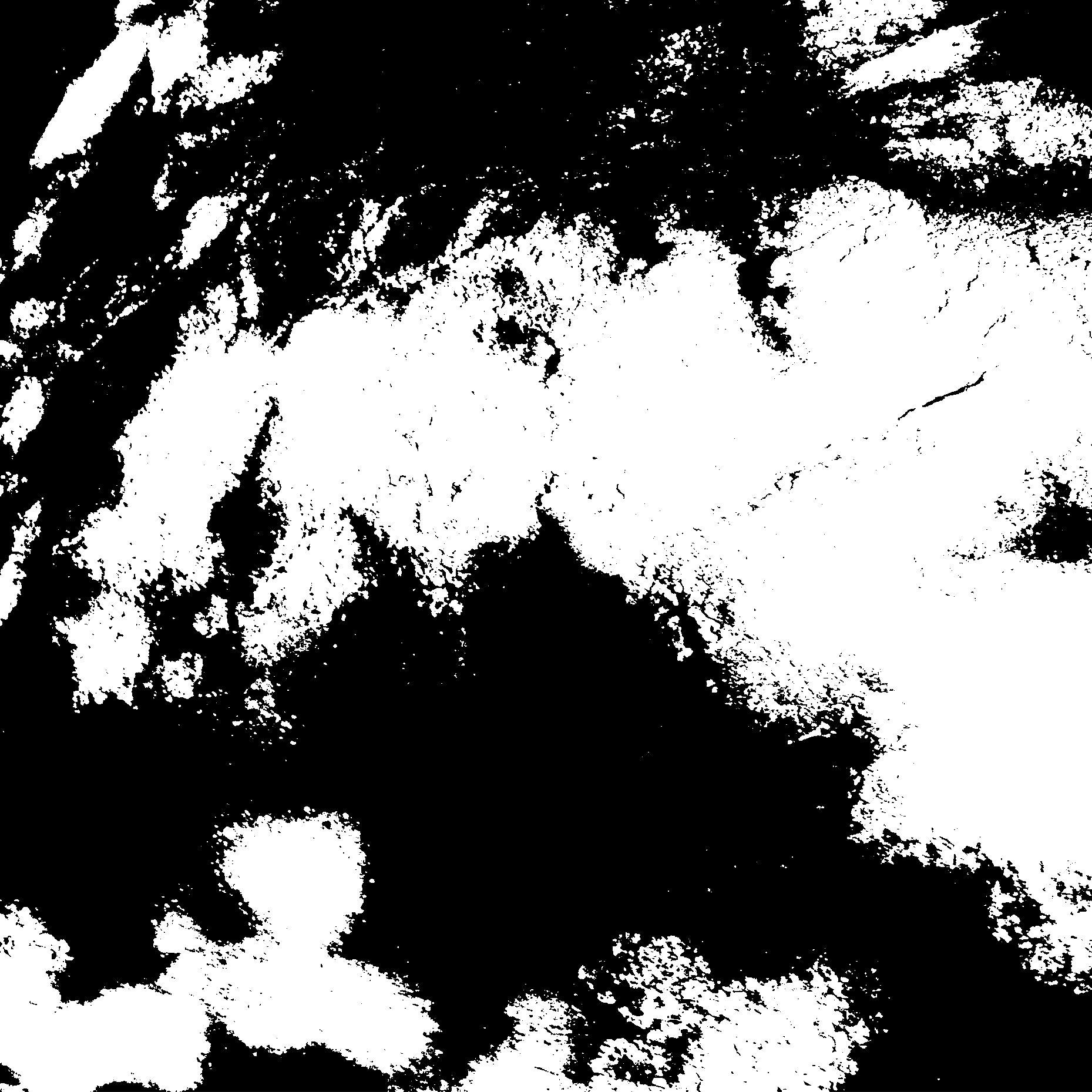 Abstract black-and-white textured graphic with irregular shapes and a distressed print effect.