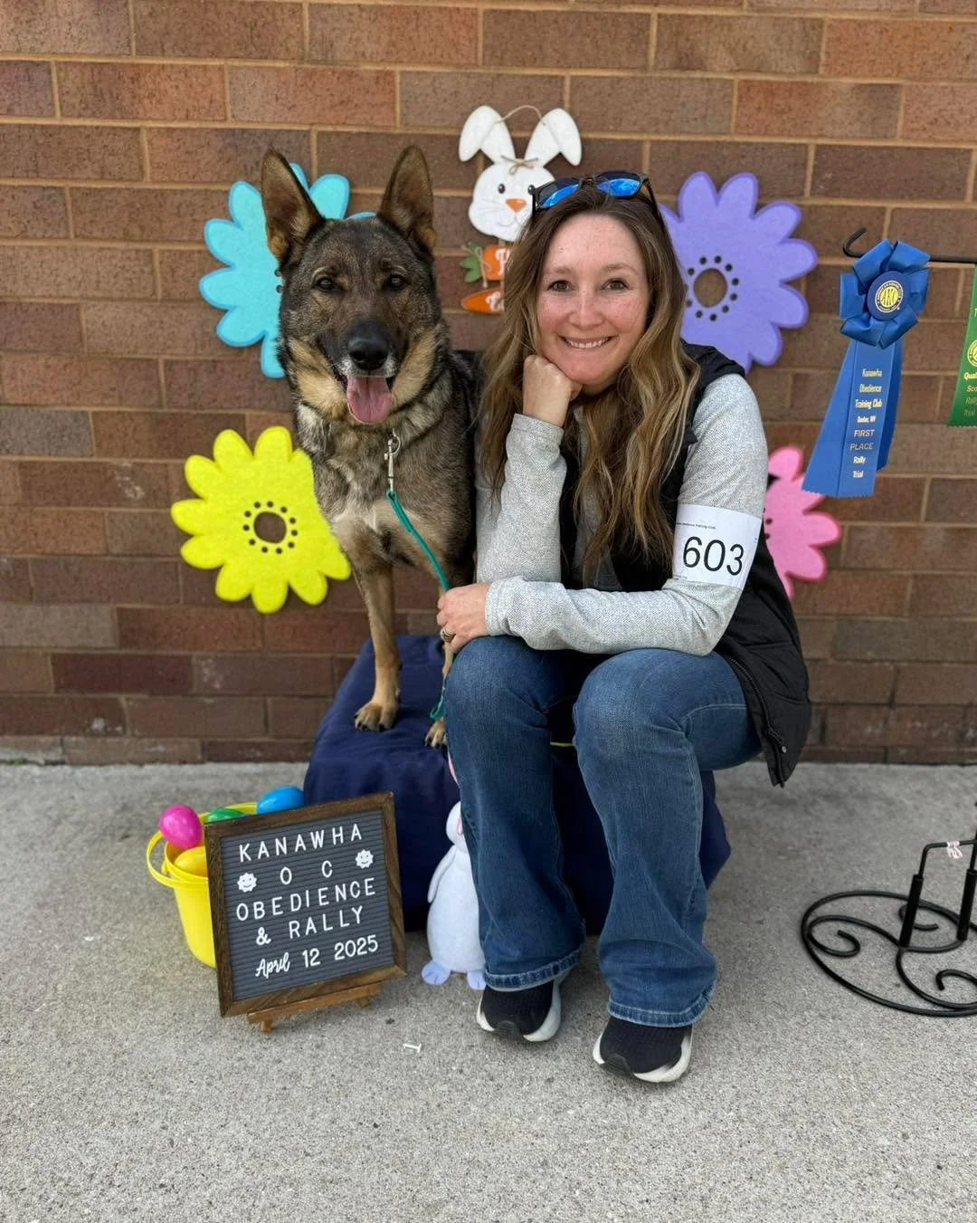 Working dog people &mdash; looking for input 👇

Planning two breedings with Journey this year (summer + winter), her final litters before retirement.

We have a few studs in mind, but welcome input from those actively training and trialing.

Looking