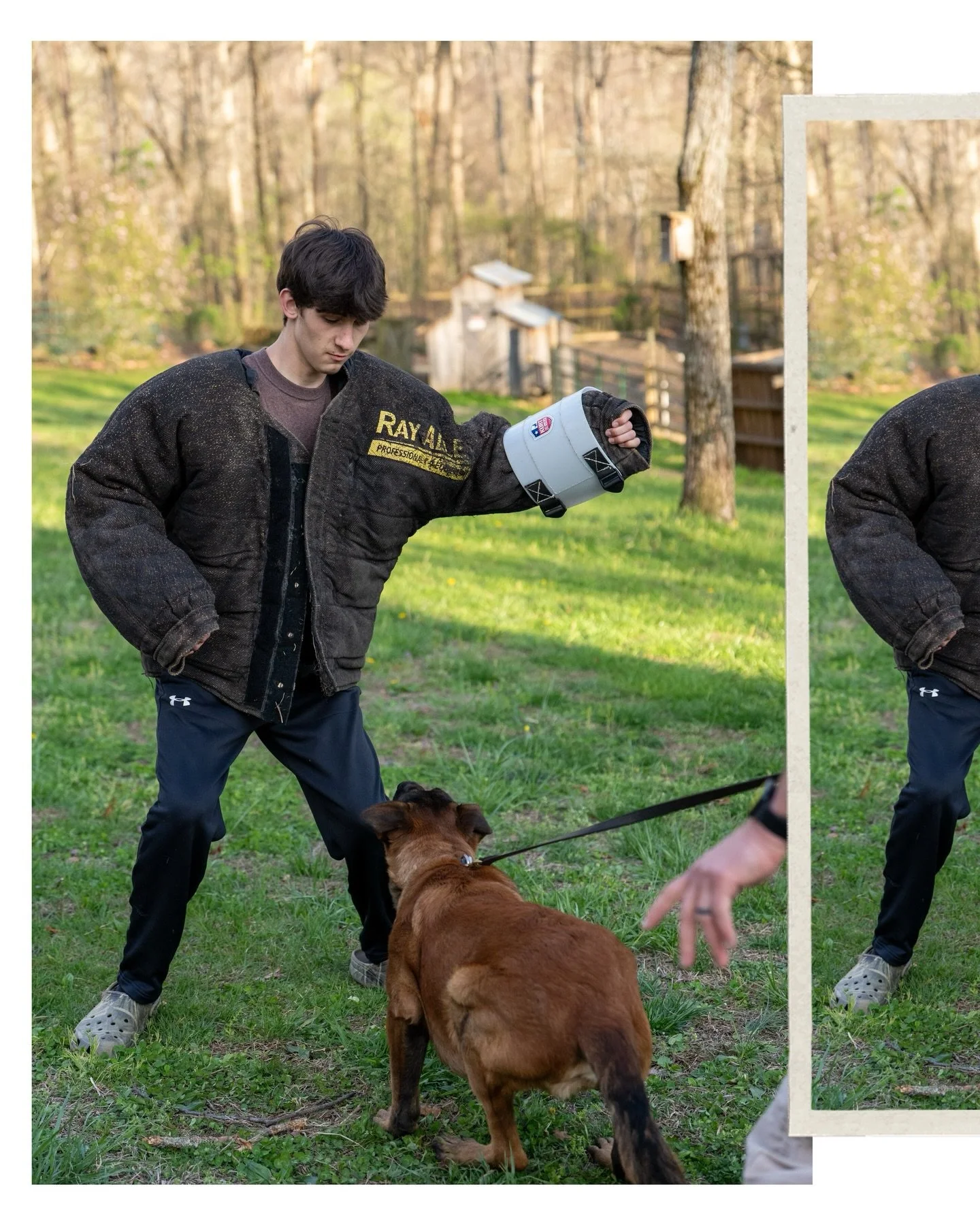 Does the suit fit him? No.
Is that the perfect dog to teach him with? No.
Is he going to do it exactly right? No.

But&hellip;

Does he want to learn? Yes.
Are we using what we have to teach him the best we can? Yes.
Is he safe? Yes.
Is he having fun