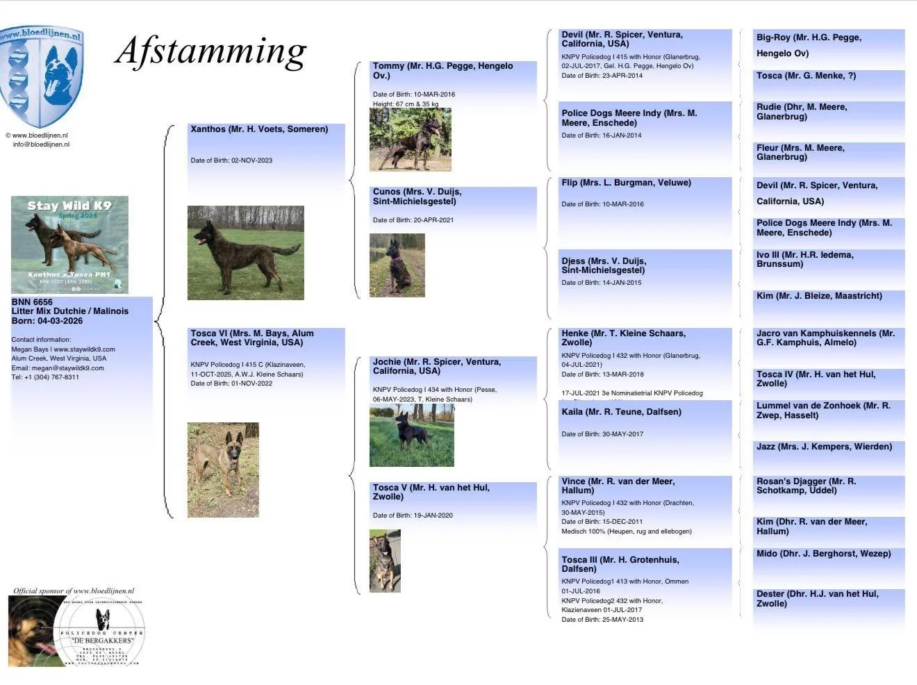 When we shared the N litter, we talked about the power of a strong mother line with Joy and Gaia.

This one&rsquo;s no different.

Tosca is PH1 certified and comes from a strong female line&mdash;7 of the 8 dogs in her motherline are PH1 titled, incl