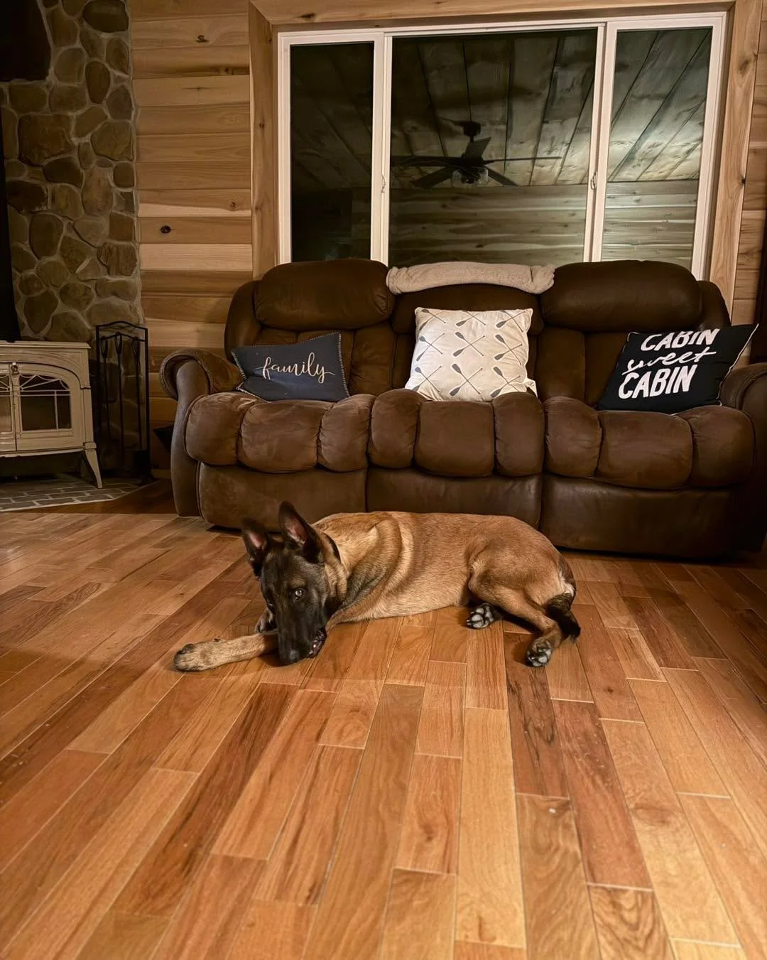 Pro cleaning tip: buy floors that match your dog 😅🐾

#StayWildK9 #DutchShepherd #WorkingLineDogs #DogLife #FarmDog #CampLife #Maui