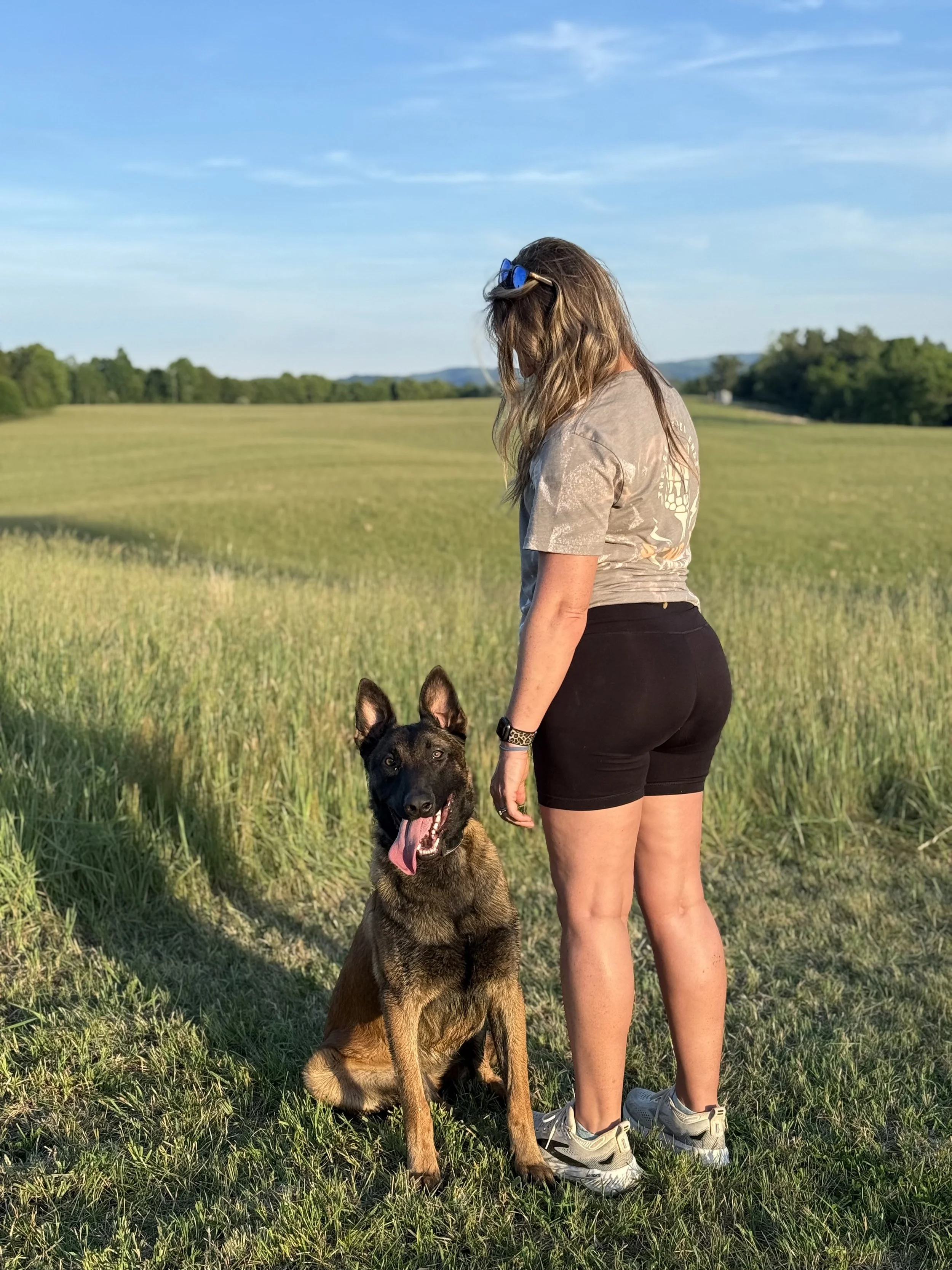 Supporting Companies That Support Working Dogs