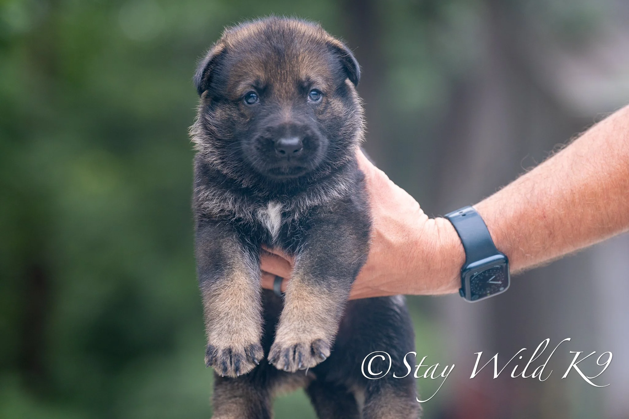 BLUEPLitter-4Weeks-60.jpg