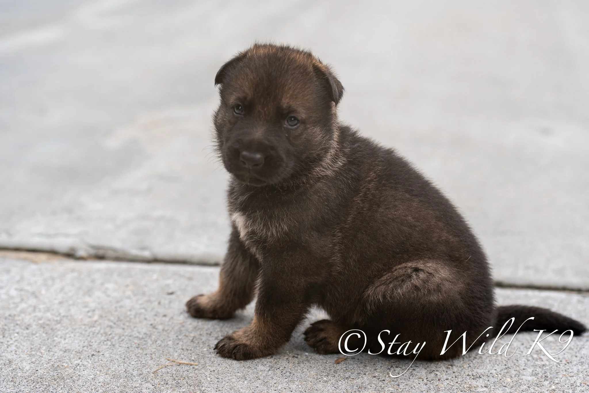 BLUEPLitter-4Weeks-59.jpg