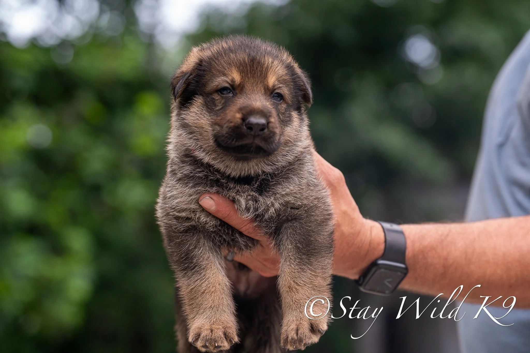 REDPLitter-4Weeks-38.jpg