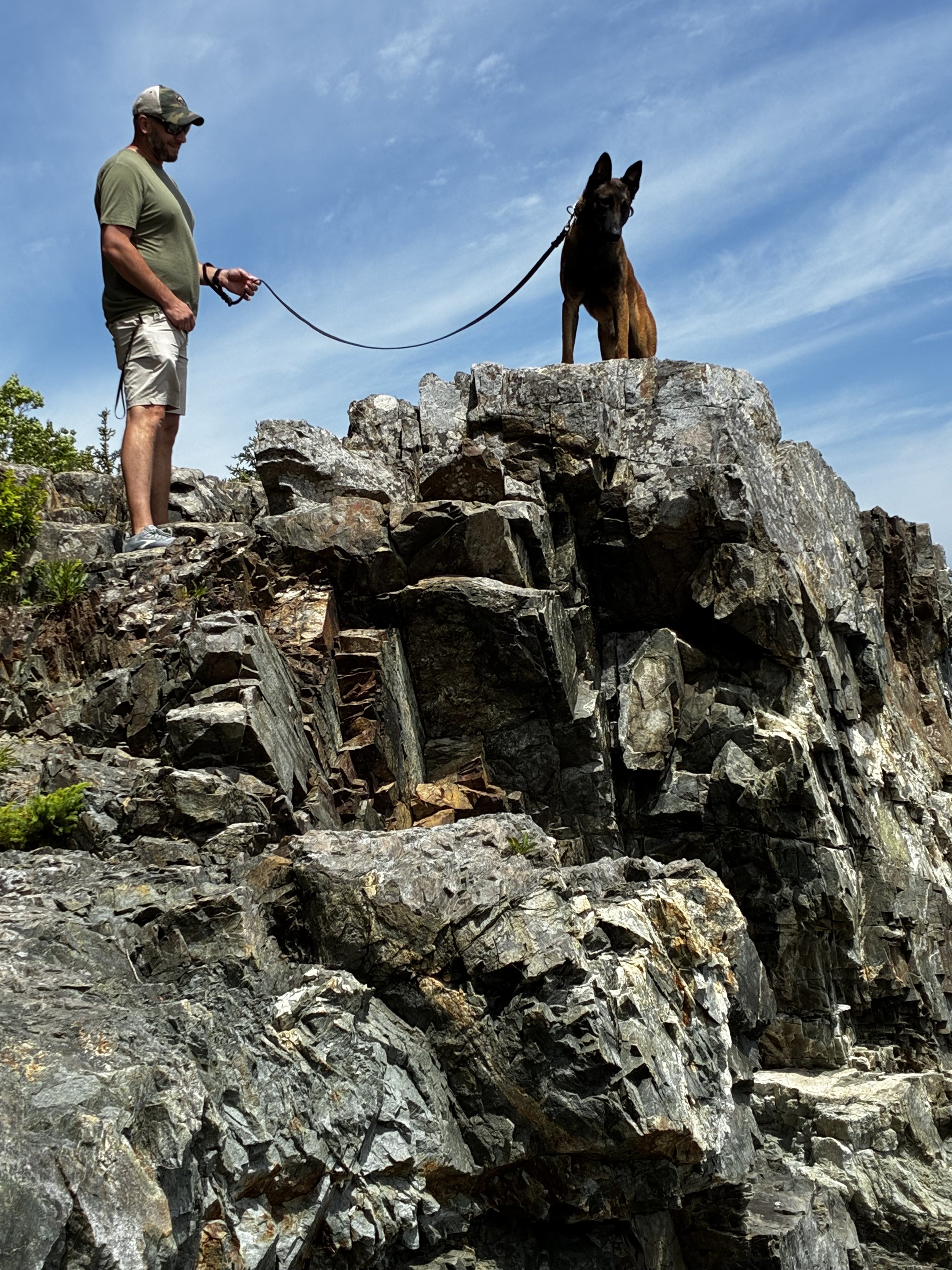 Traveling With Dogs: Why Acadia National Park Should Be on Every Dog Owner's Bucket List
