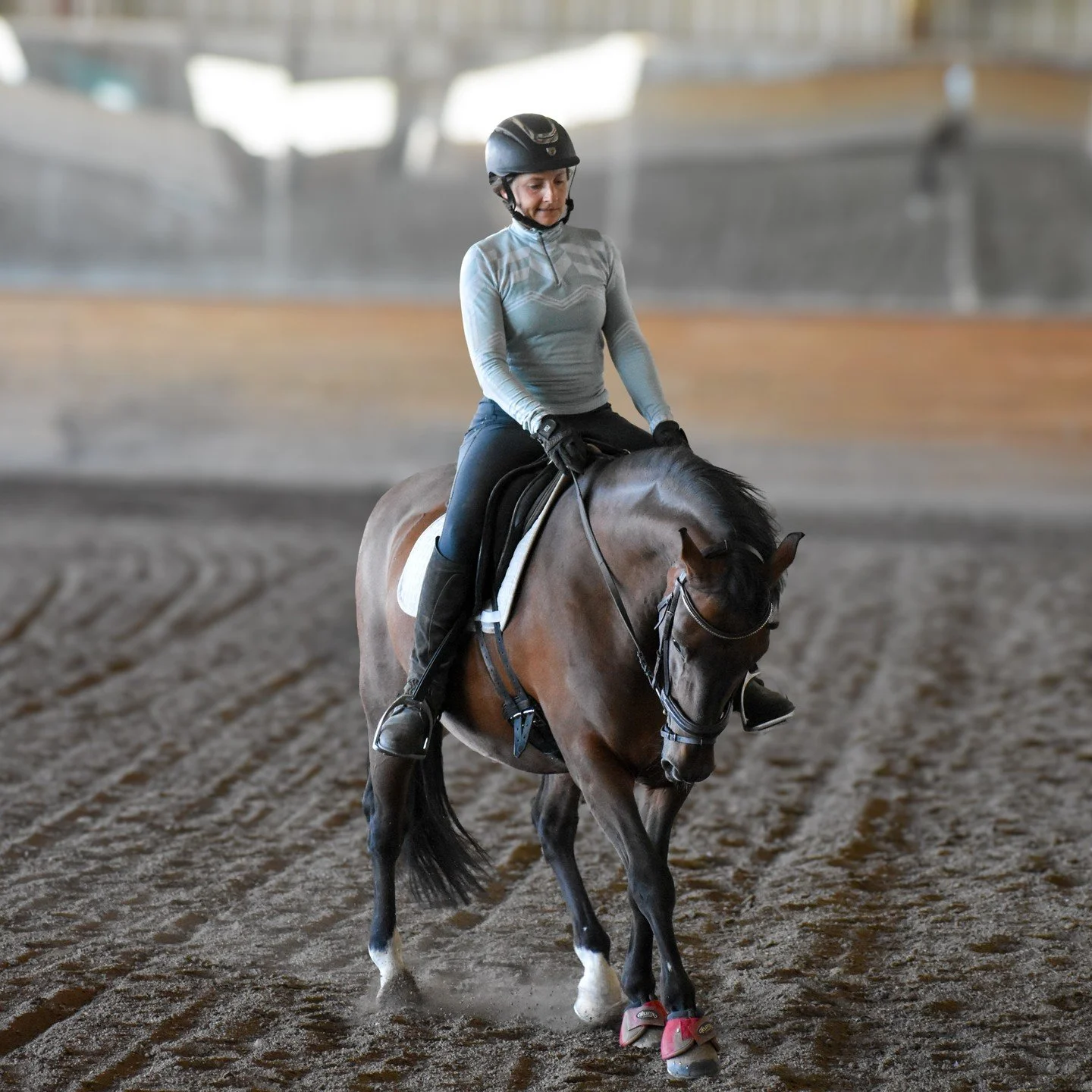 Thank you so much @sopheekah @thehorsekraft for giving me the opportunity to photograph you and Julirio! I absolutely love watching you ride and J is so beautiful!
