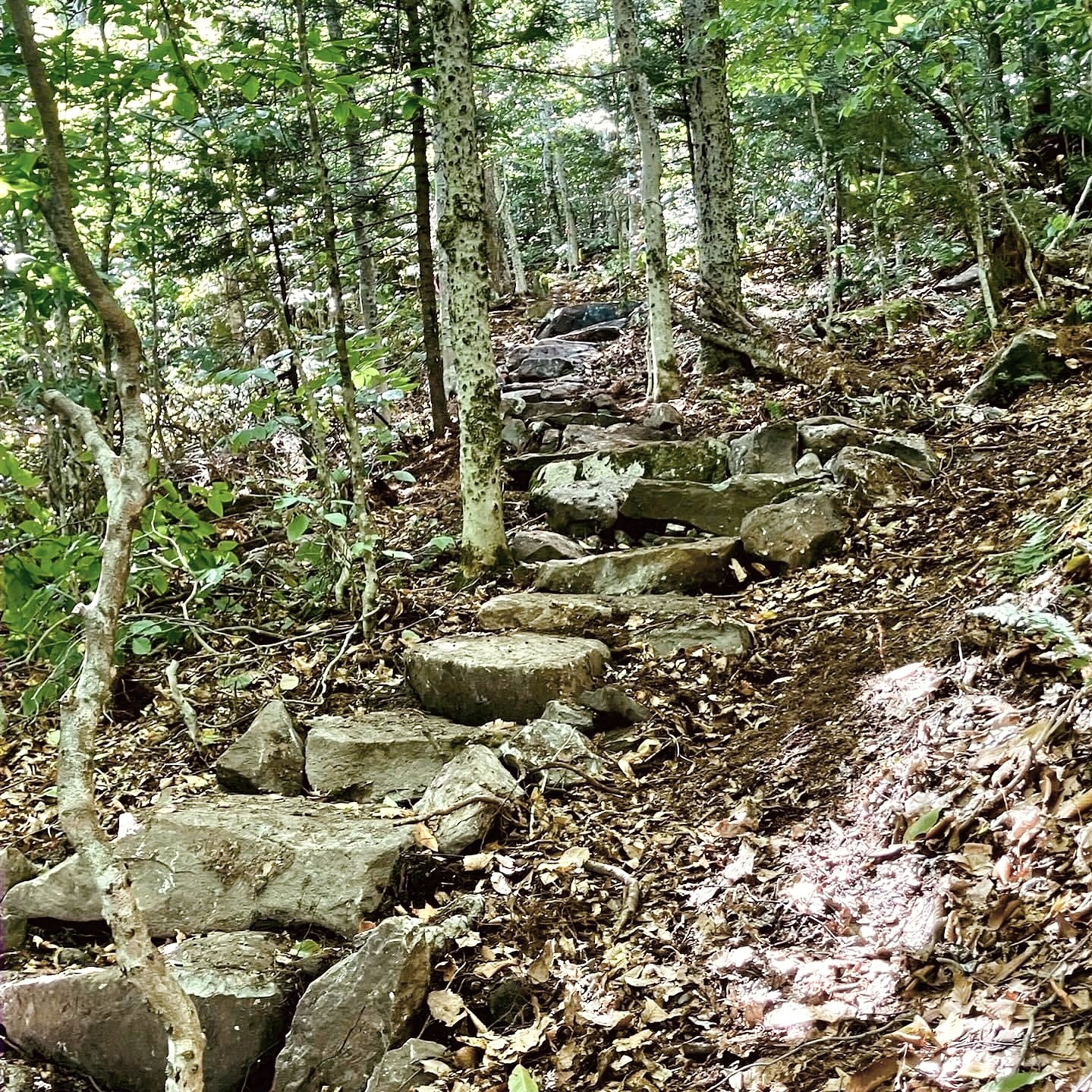Steps+4.jpg