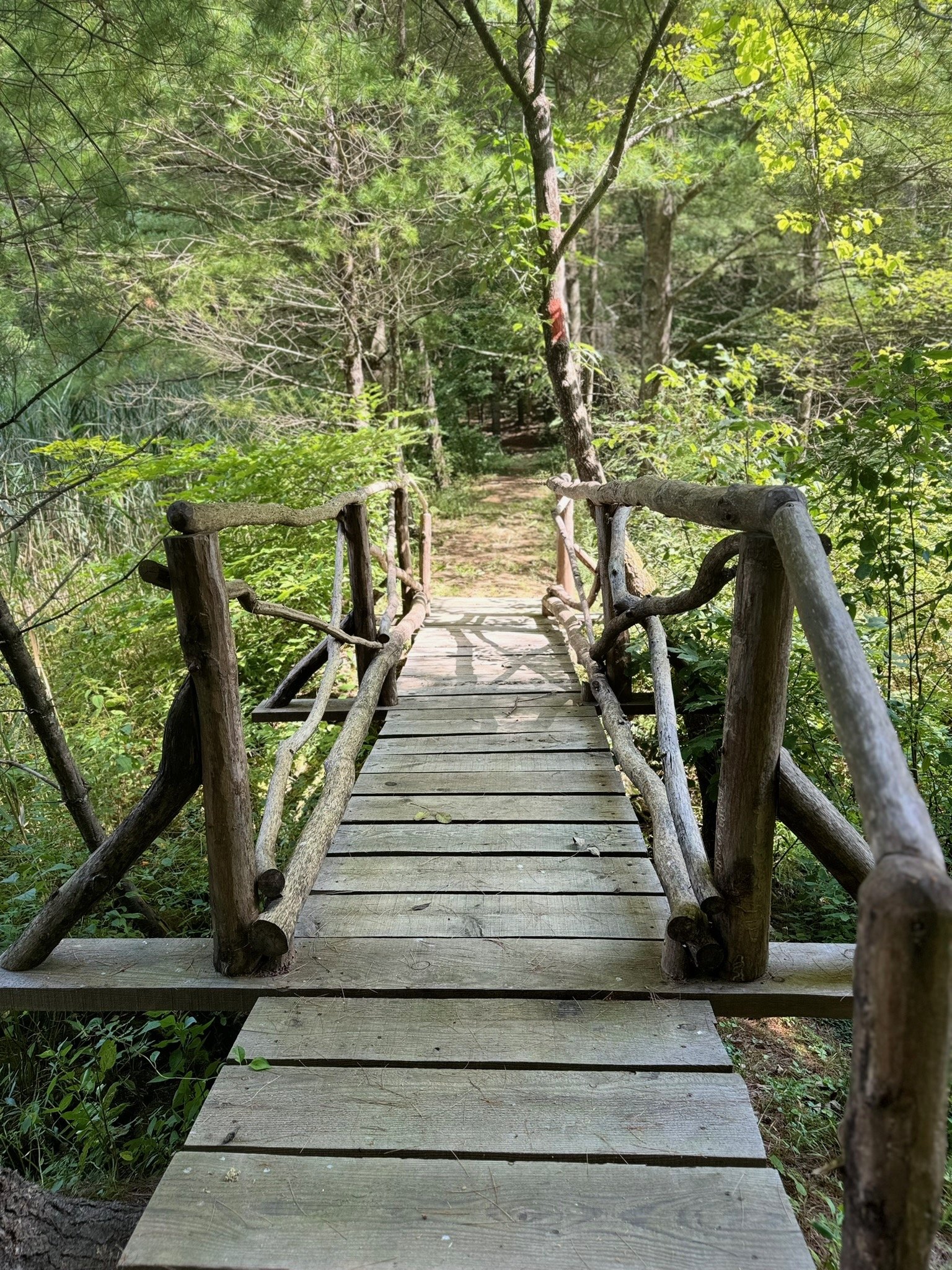 Bridge 2.jpg