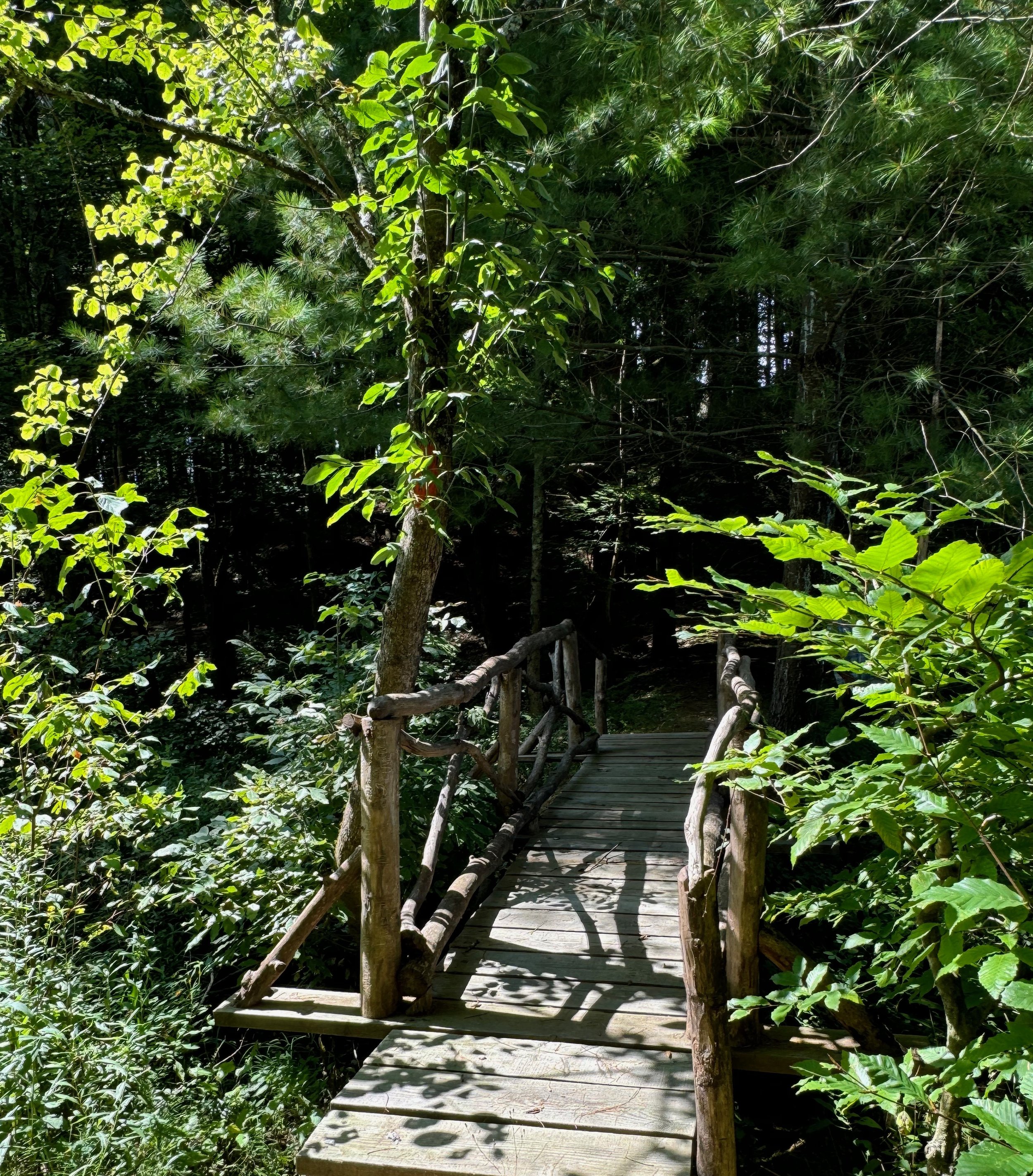 Bridge 1.jpg