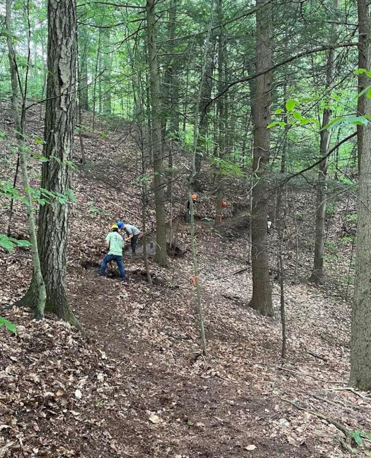 Trail Cutting.jpg