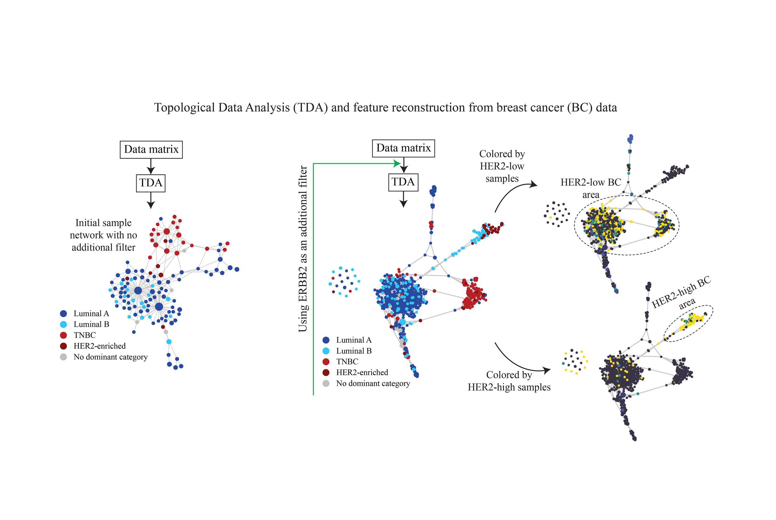 Topological Data Analysis Reveals a Subgroup of Luminal B Breast Cancer