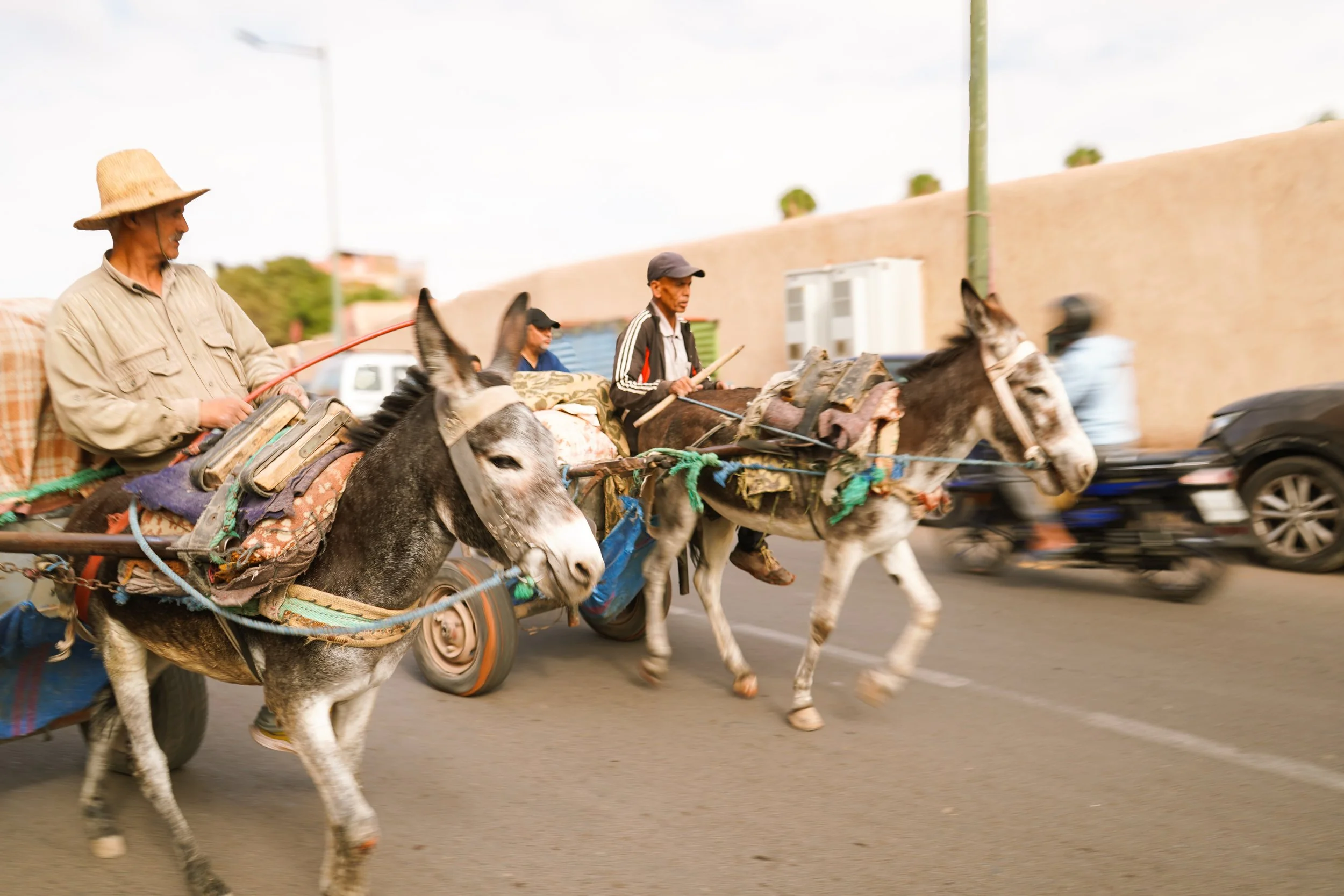 Marrakesh-5.jpg