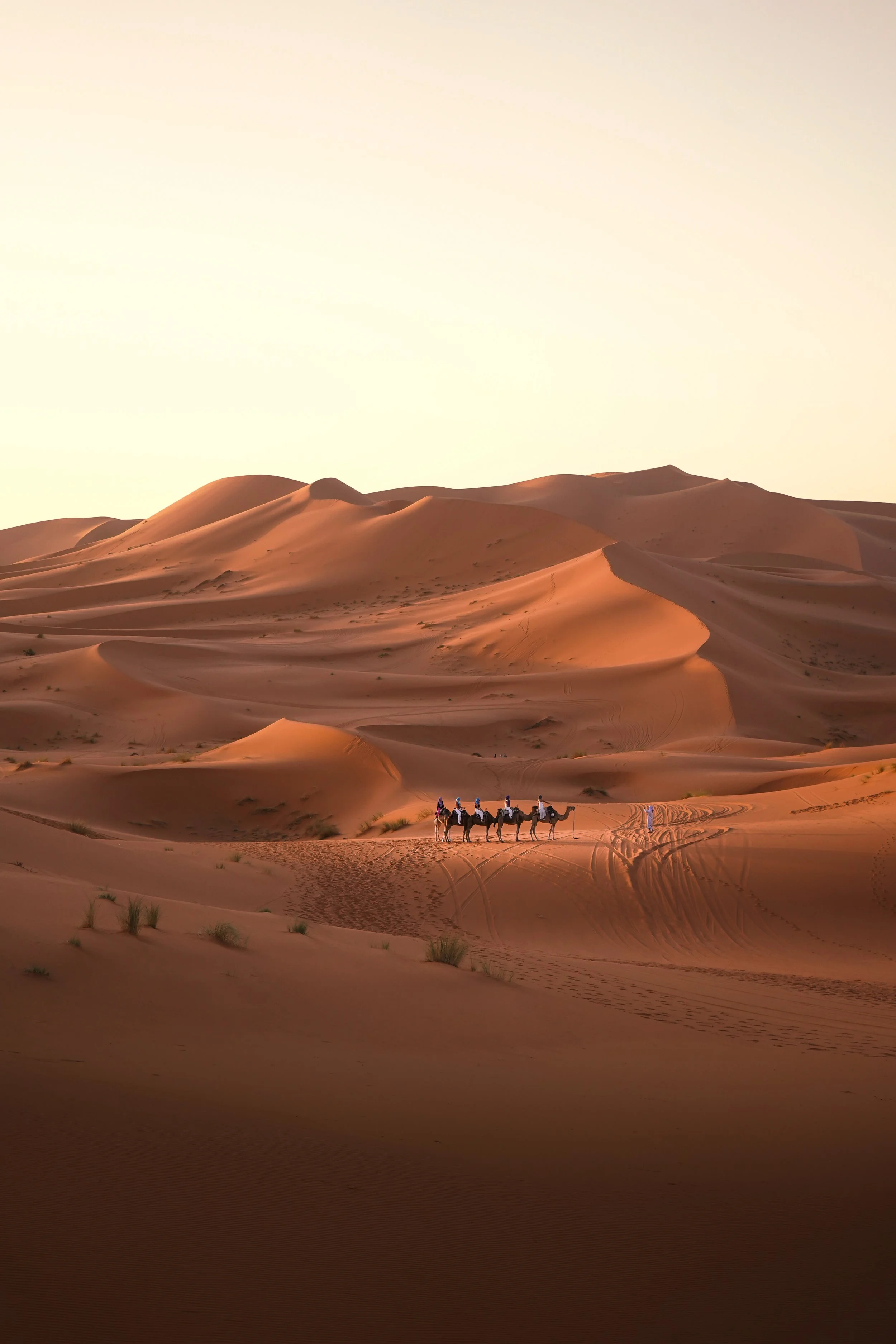 Morocco Desert-1.jpg
