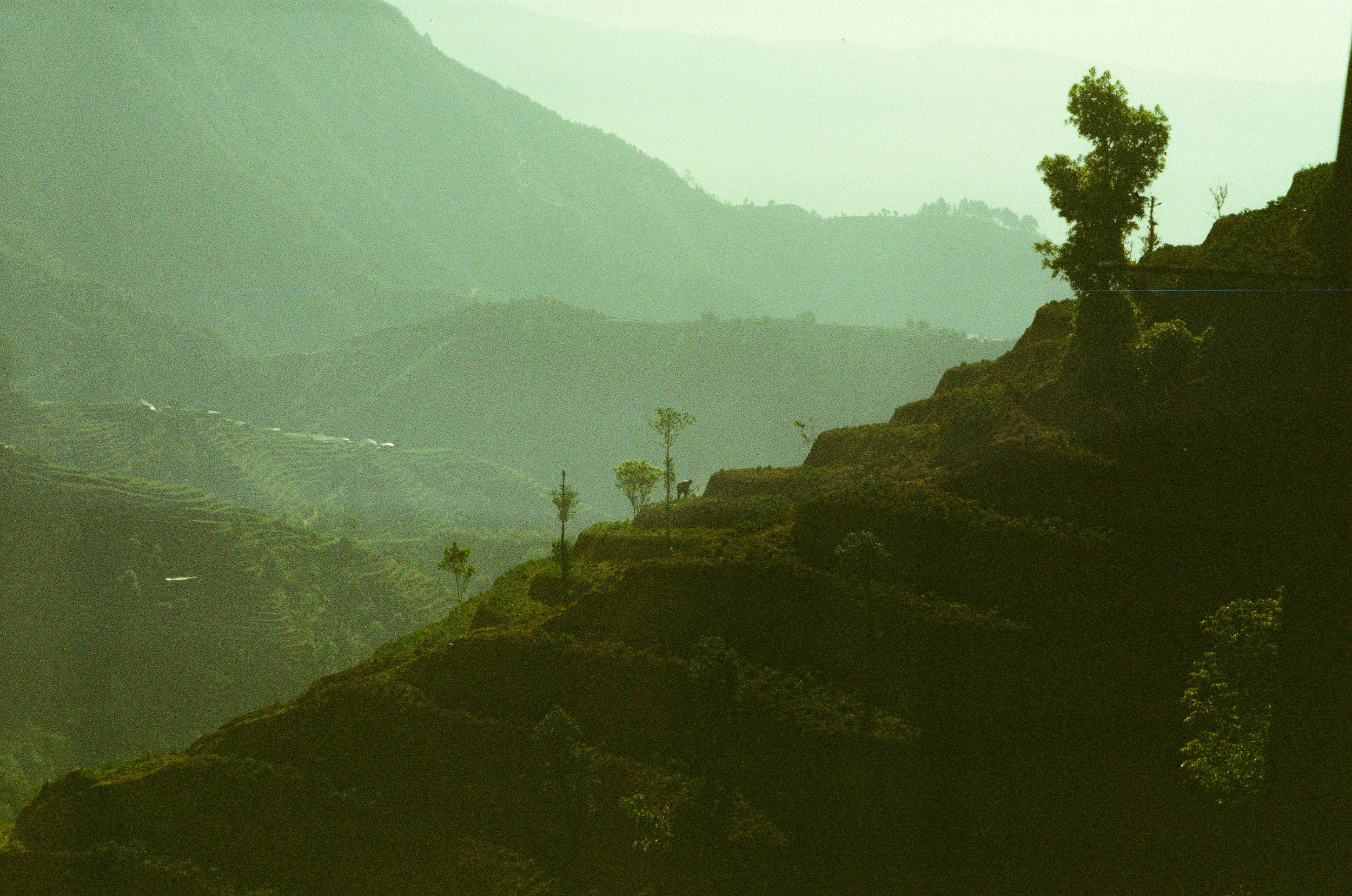 Helambu Trek, Nepal