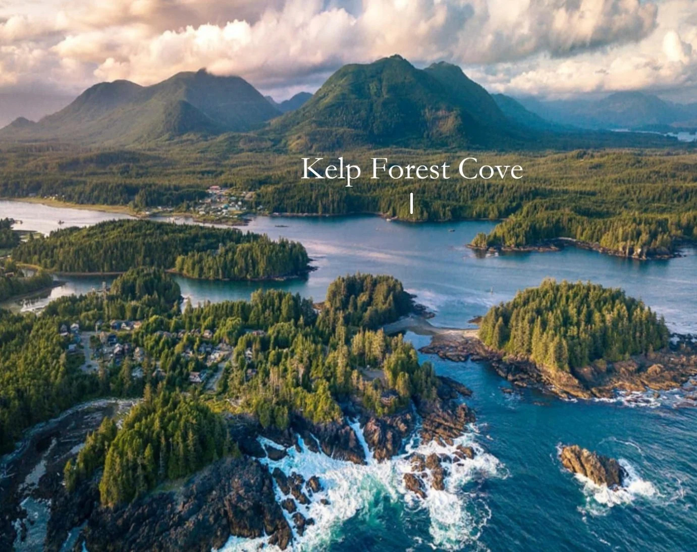 Kelp forext cove.jpg