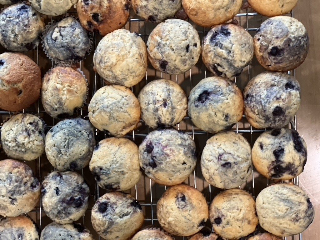 12 Muffins