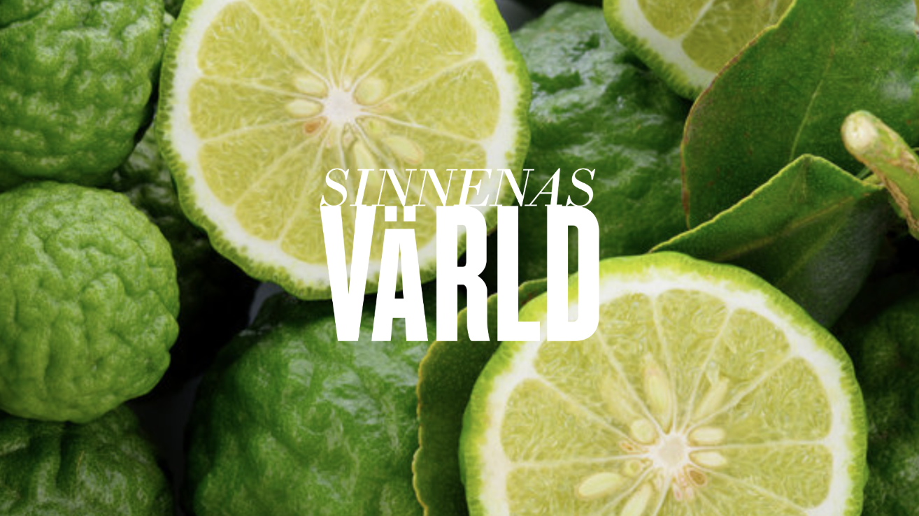 Lecture: With a Scent of Citrus