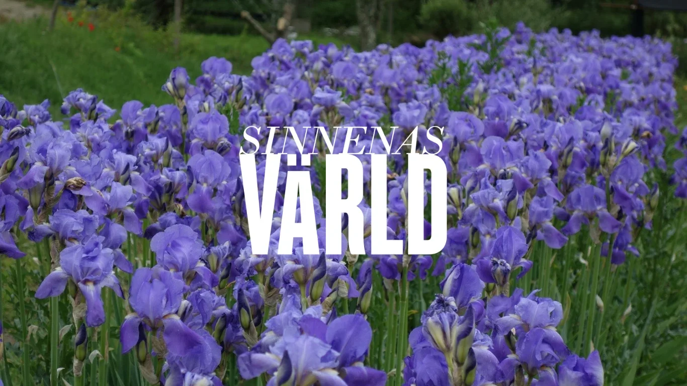 Lecture: With a Scent of Iris at Medelhavsmuseet
