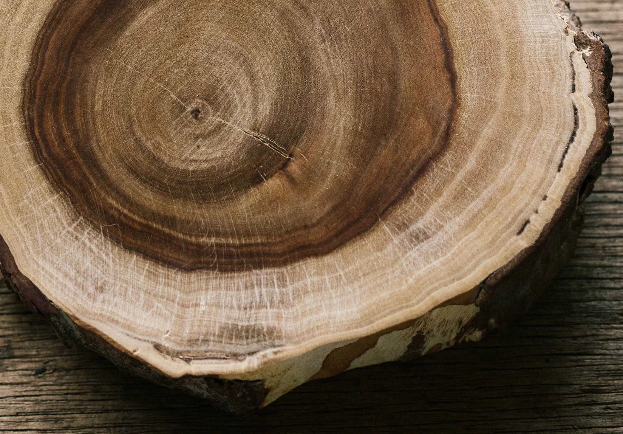 Lecture: With a Scent of Sandalwood at Världskulturmuseet