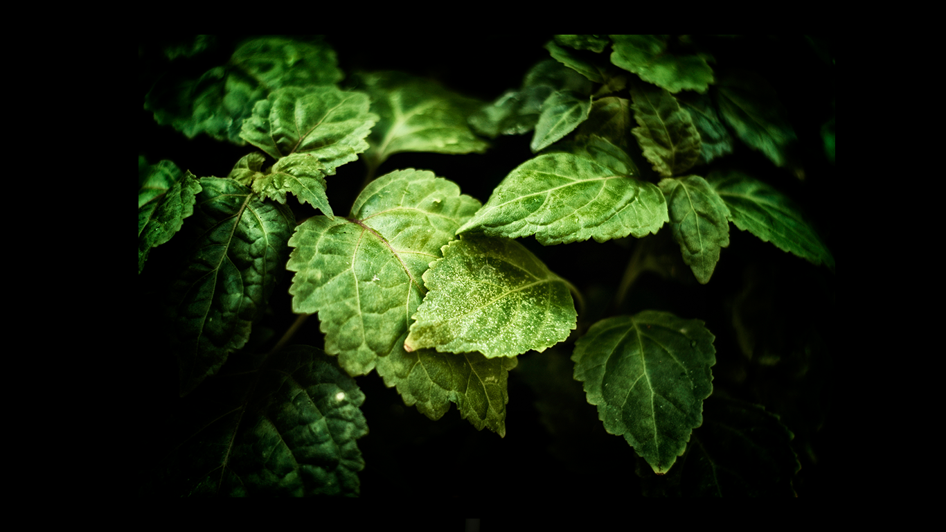 Lecture: With a Scent of Patchouli at Världskulturmuseet