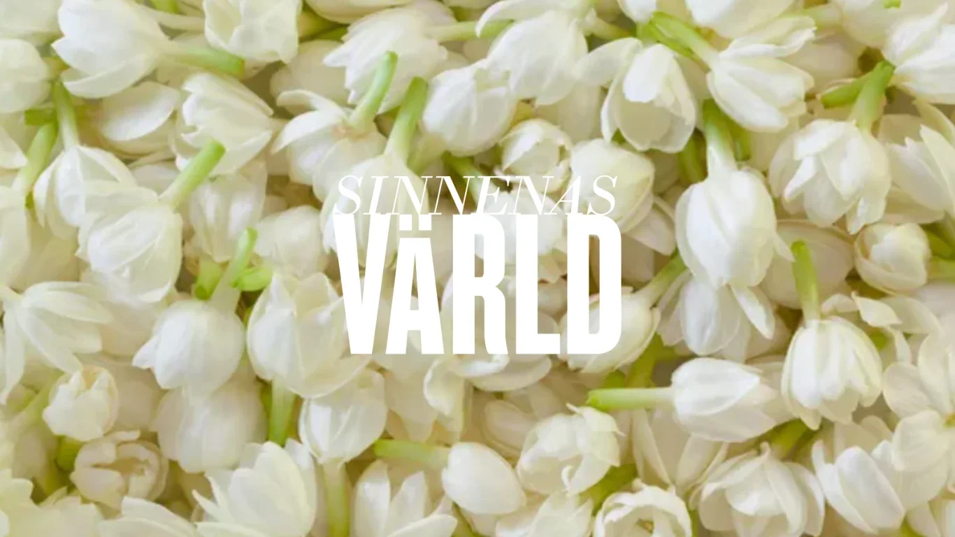 Lecture: With a Scent of Jasmine at Medelhavsmuseet