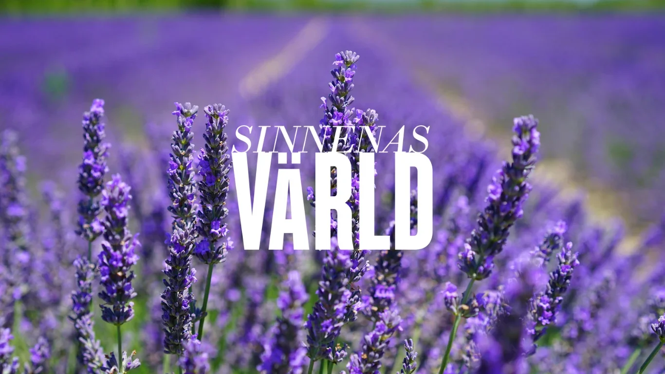 Lecture: With a Scent of Lavender at Medelhavsmuseet