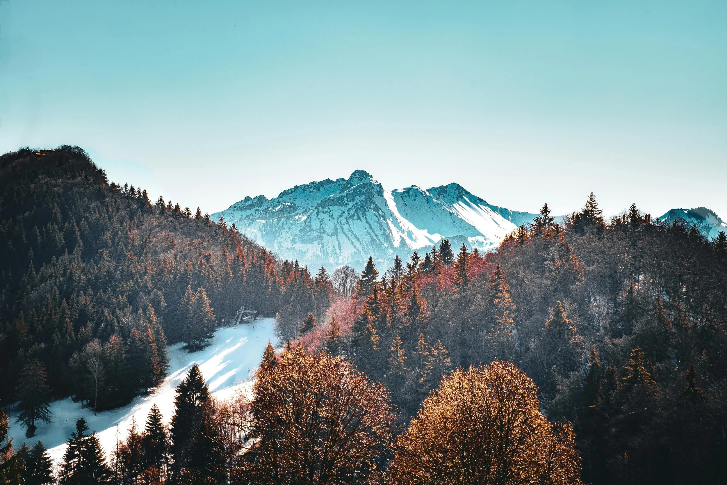 Seasonal Transitions and Mood Stability: Tips for Managing Change